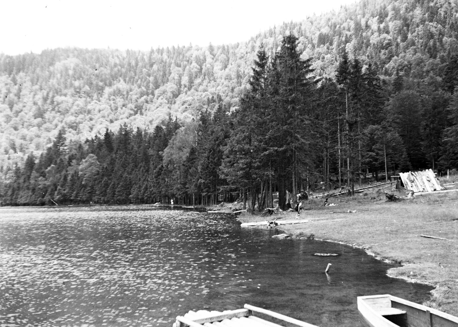 1936, Rákóczi Péter, shore, hillside, pine forest, Fortepan #295700