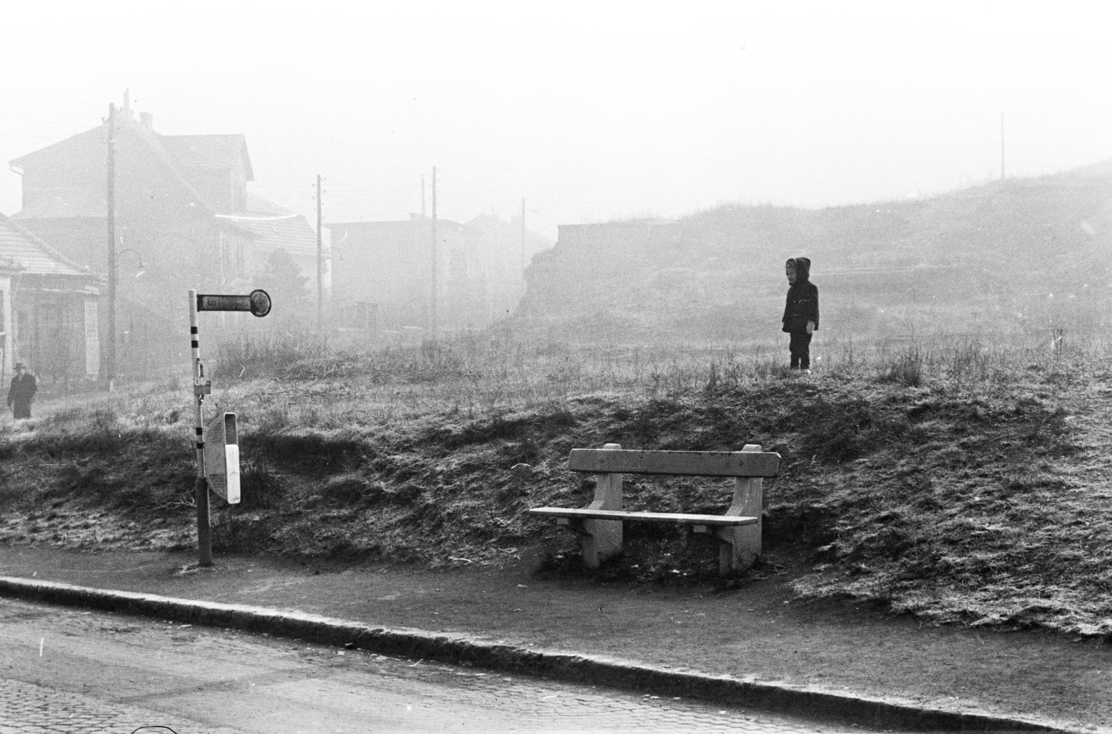 1964, Szász Gábor, Fortepan #295735