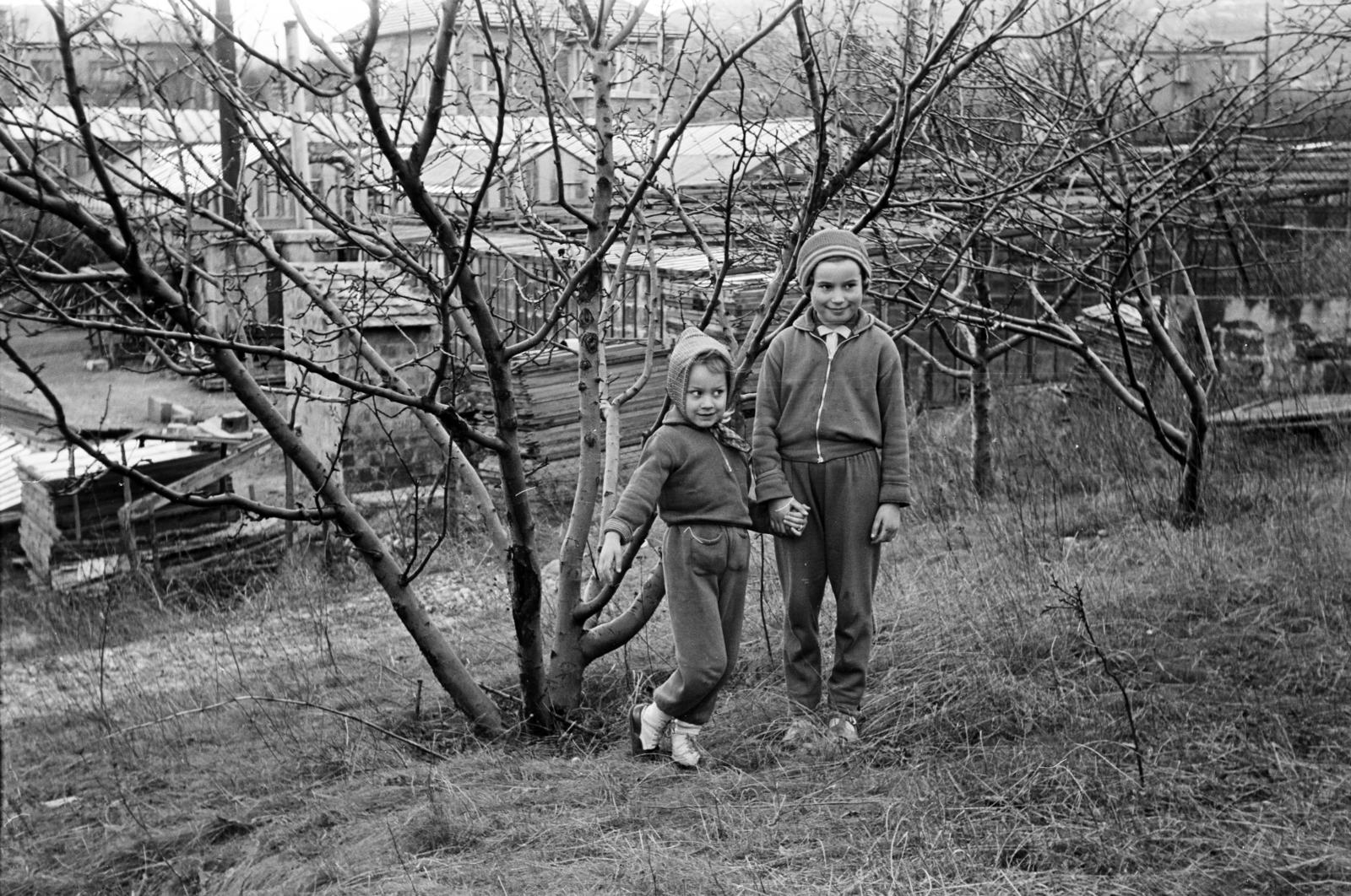 1964, Szász Gábor, Fortepan #295737