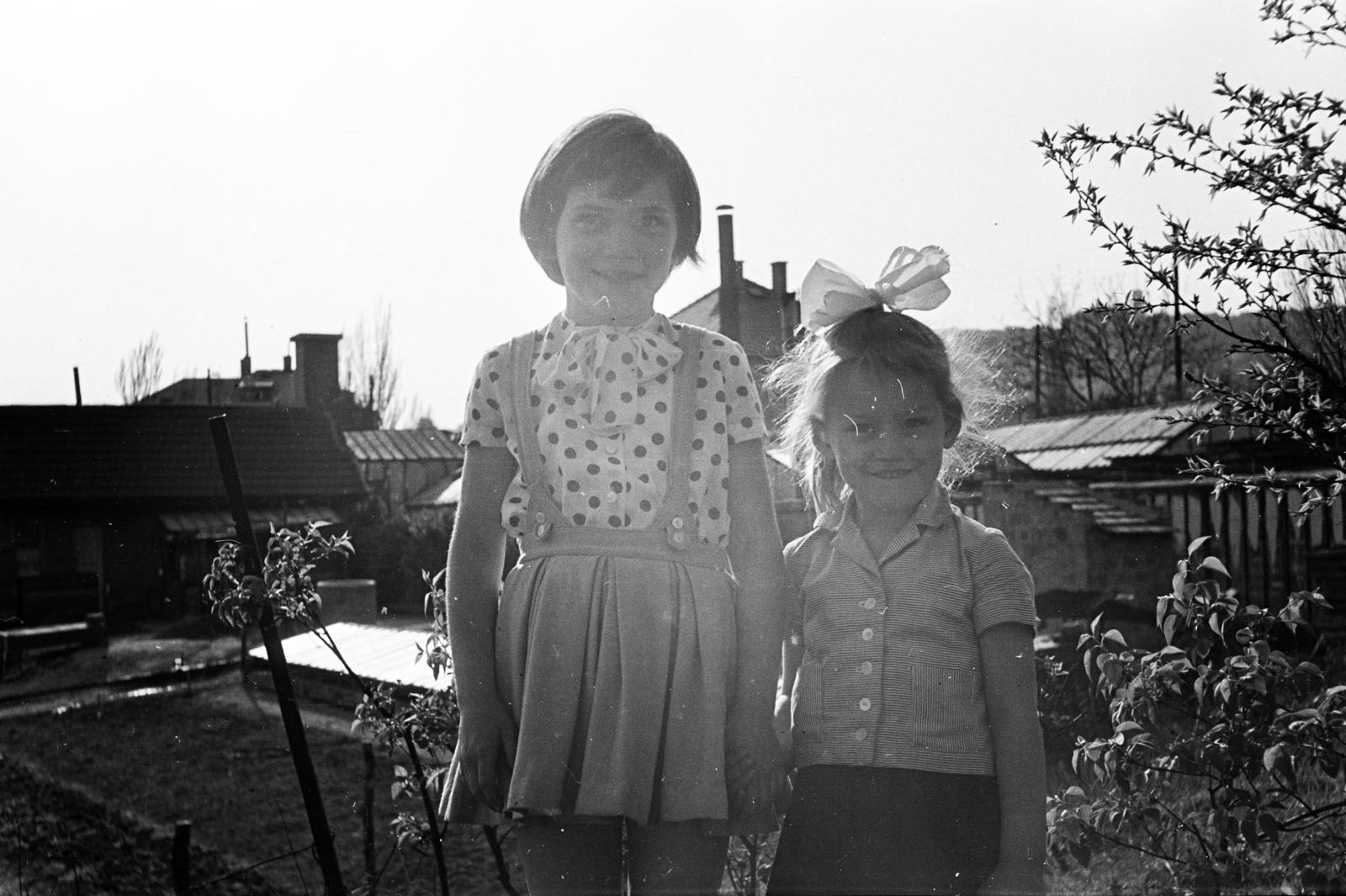 1964, Szász Gábor, Fortepan #295740