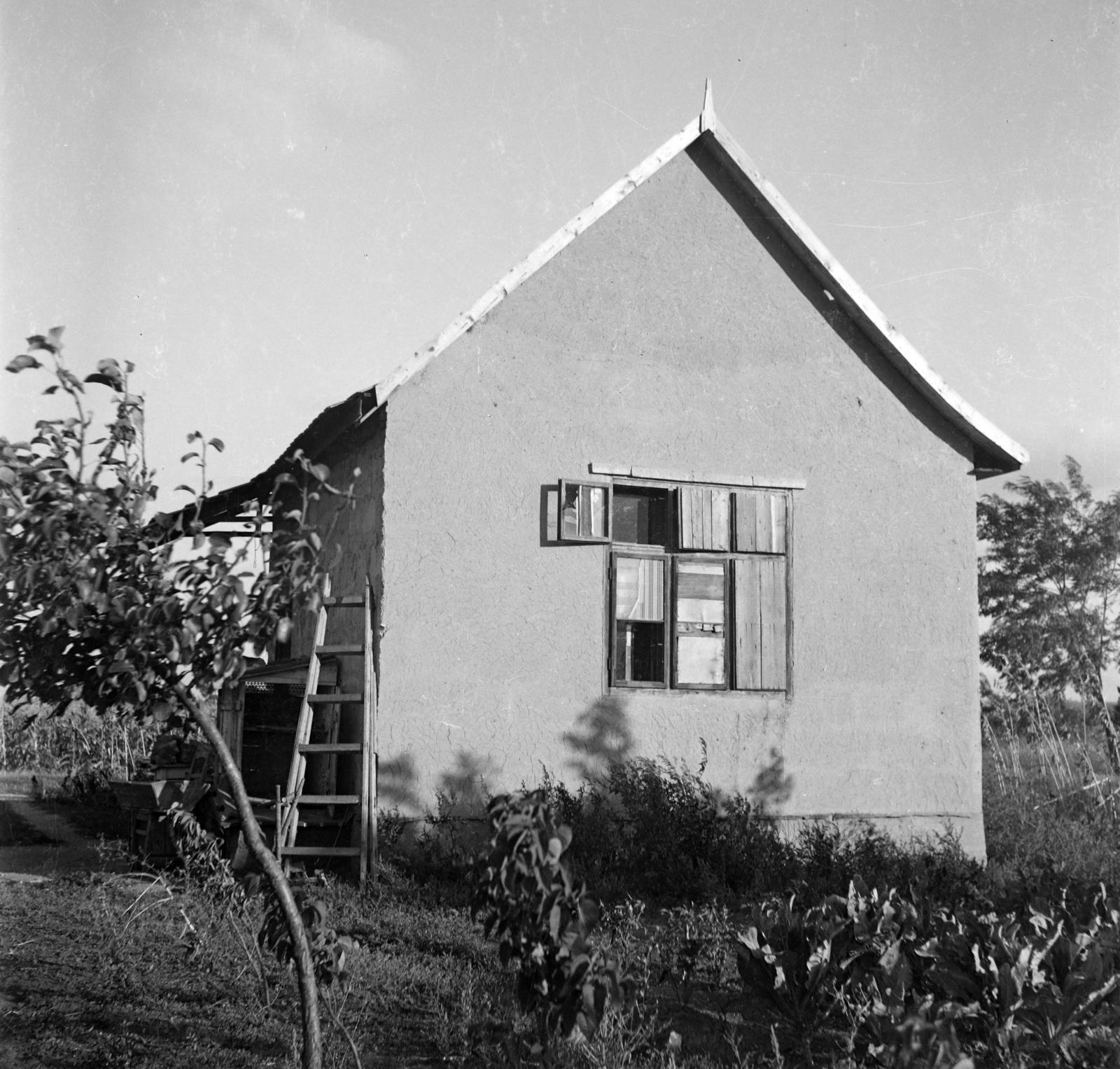 Hungary, Tárnok, Tárnokliget, Köztársaság utca 18. szám alatti ház., 1937, Török Kálmán, Fortepan #295749