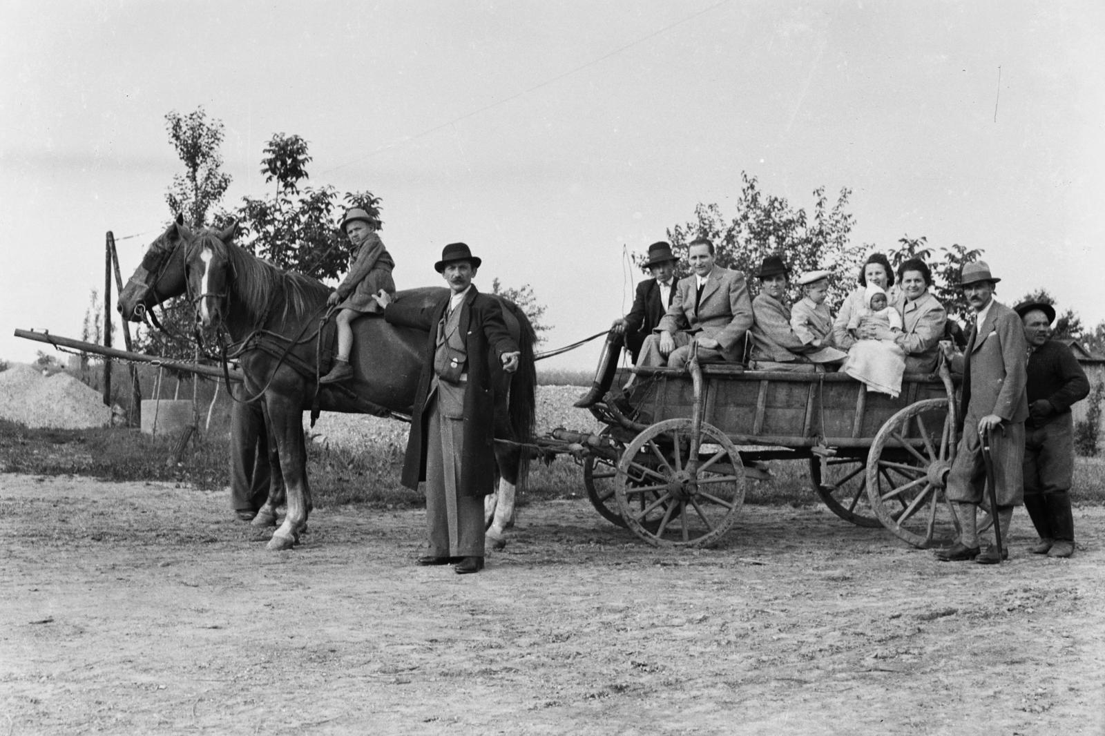Hungary, 1942, Török Kálmán, chariot, Fortepan #295752