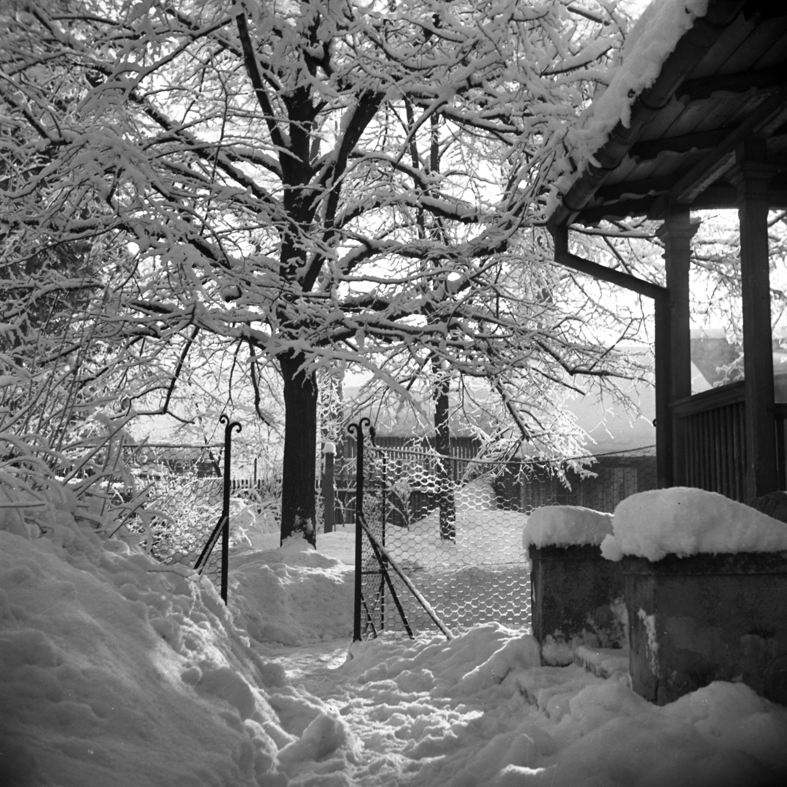 Hungary, Alag, Dunakeszi, Batthyány Elemér utca 8., a Petanovits-ház udvara., 1938, Kölcsey Ferenc Dunakeszi Városi Könyvtár / Petanovits fényképek, winter, snow, Fortepan #29593