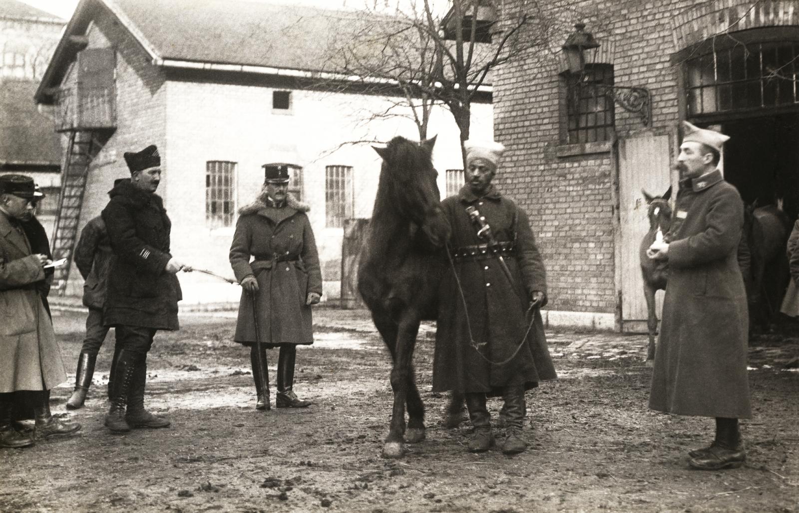 1919, Kieselbach Galéria, Fortepan #295932