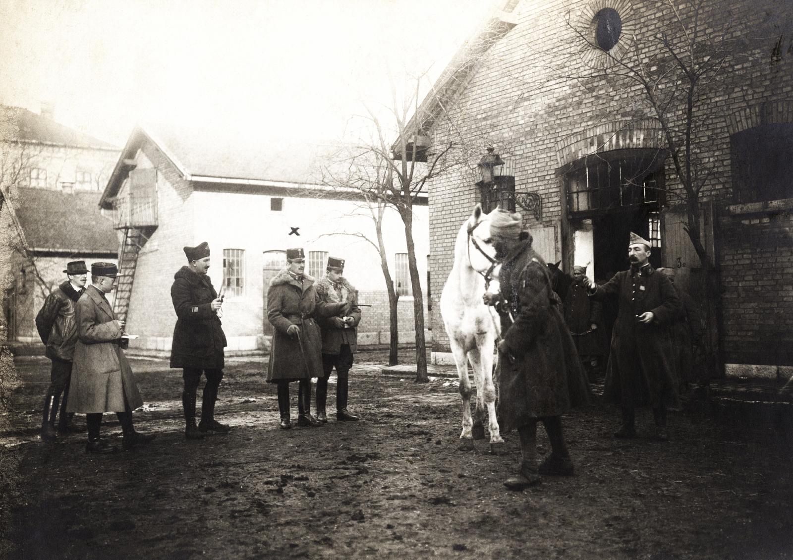 1918, Kieselbach Galéria, ló, katona, Fortepan #295933