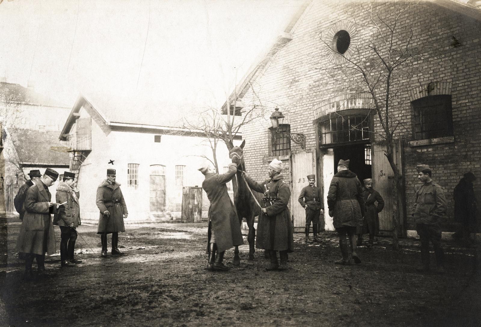 1919, Kieselbach Galéria, horse, soldier, Fortepan #295934