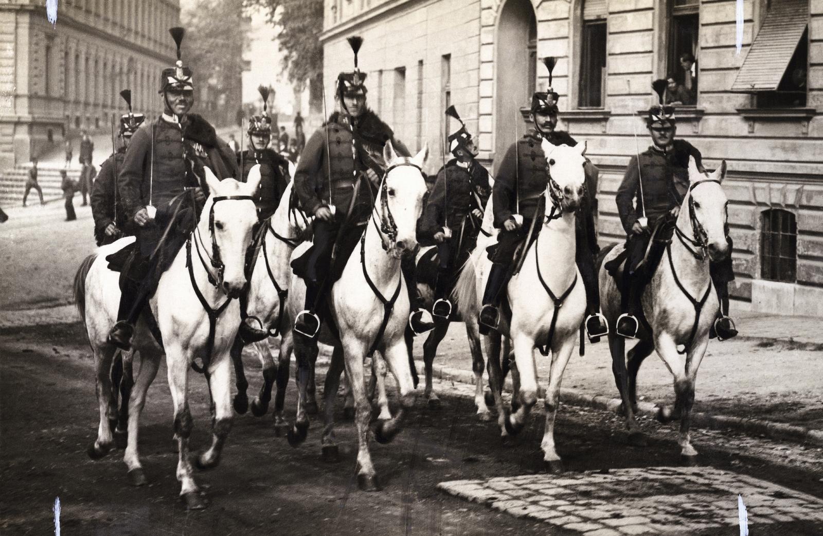 1919, Kieselbach Galéria, horse, Fortepan #296030
