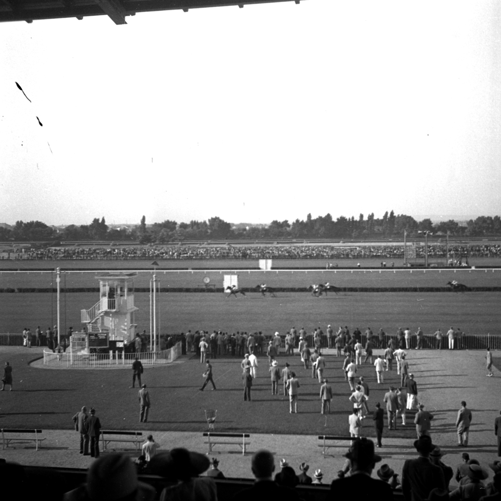 Hungary, Budapest X., Albertirsai út, Lóversenypálya, futópályák., 1938, Kölcsey Ferenc Dunakeszi Városi Könyvtár / Petanovits fényképek, horse race, Budapest, Fortepan #29605