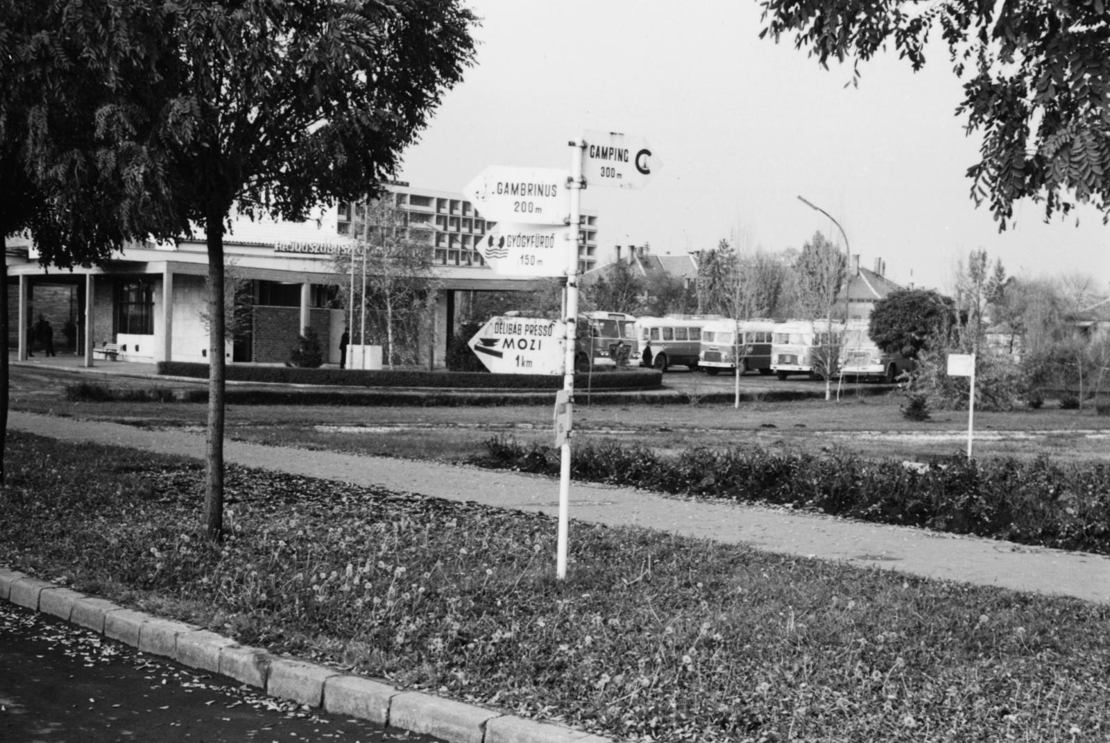 Magyarország, Hajdúszoboszló, MÁVAUT autóbusz-pályaudvar, háttérben a SZOT Béke Gyógyüdülő., 1967, Szegő István, Fortepan #296120