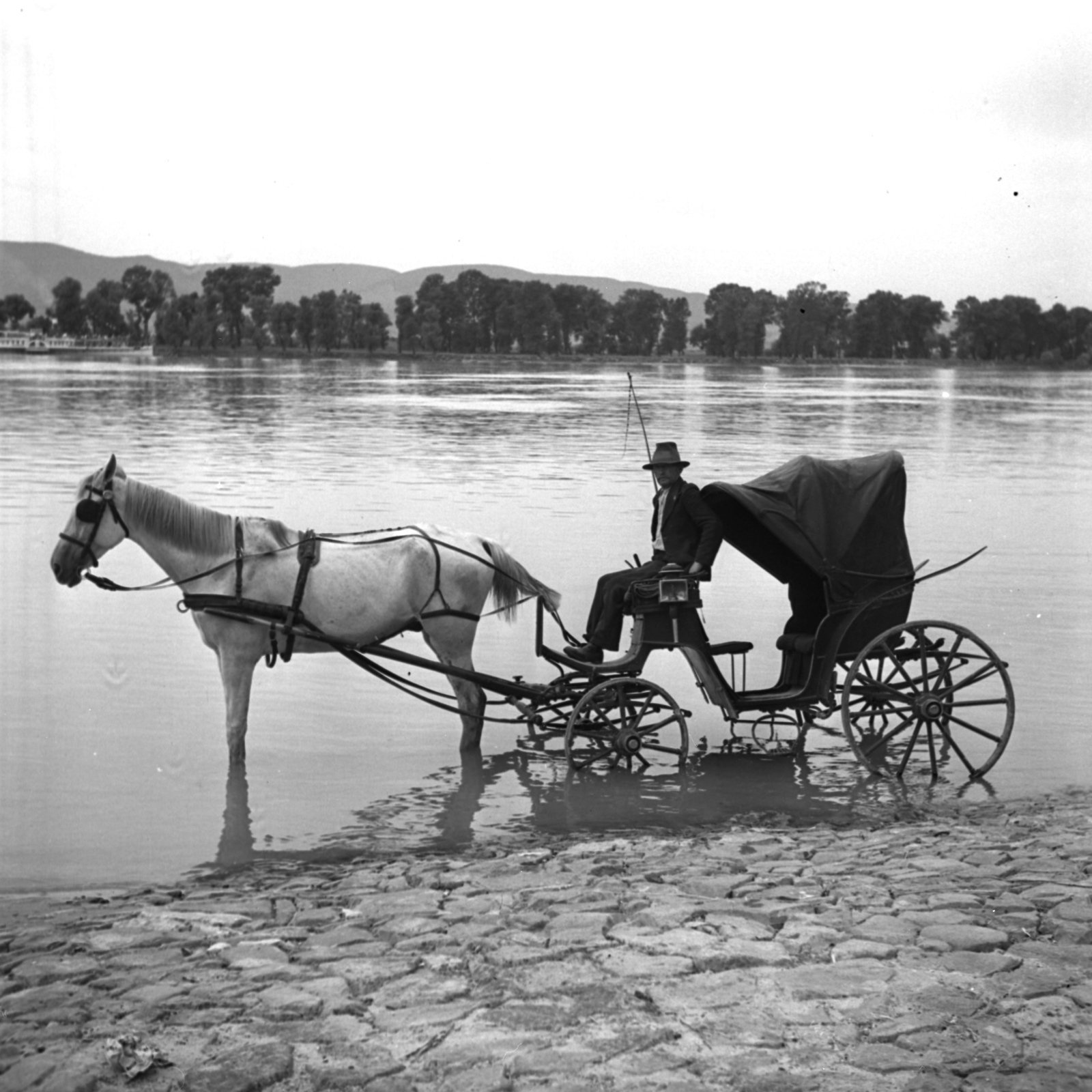 Hungary, Vác, konflis a Duna-parton. ., 1938, Kölcsey Ferenc Dunakeszi Városi Könyvtár / Petanovits fényképek, Horse-drawn carriage, shore, Fortepan #29613