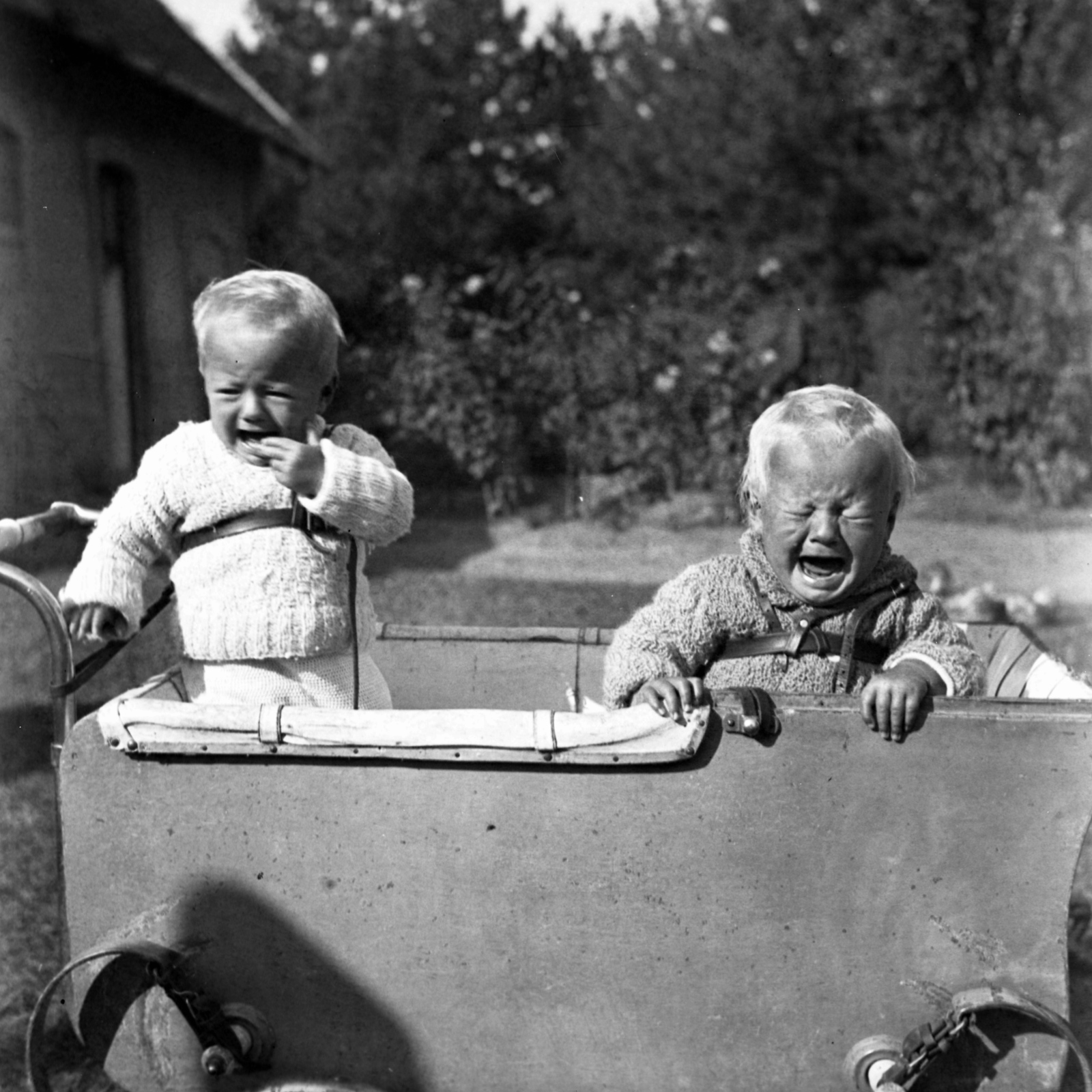 1938, Kölcsey Ferenc Dunakeszi Városi Könyvtár / Petanovits fényképek, baby carriage, crying, Fortepan #29614