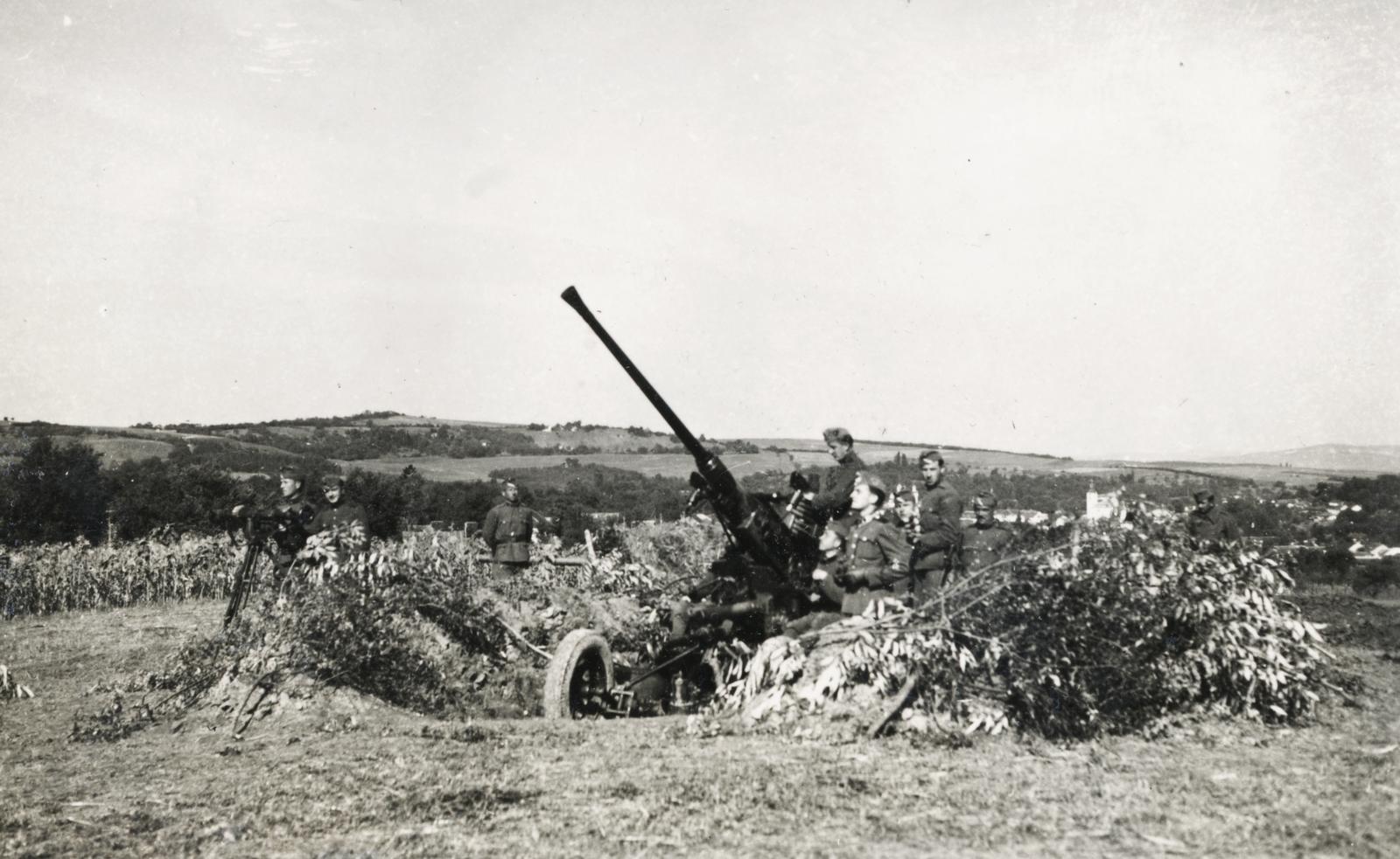 1940, Szegő István, Bofors-brand, air defense, Anti aircraft cannon, Bofors 36M, Fortepan #296152