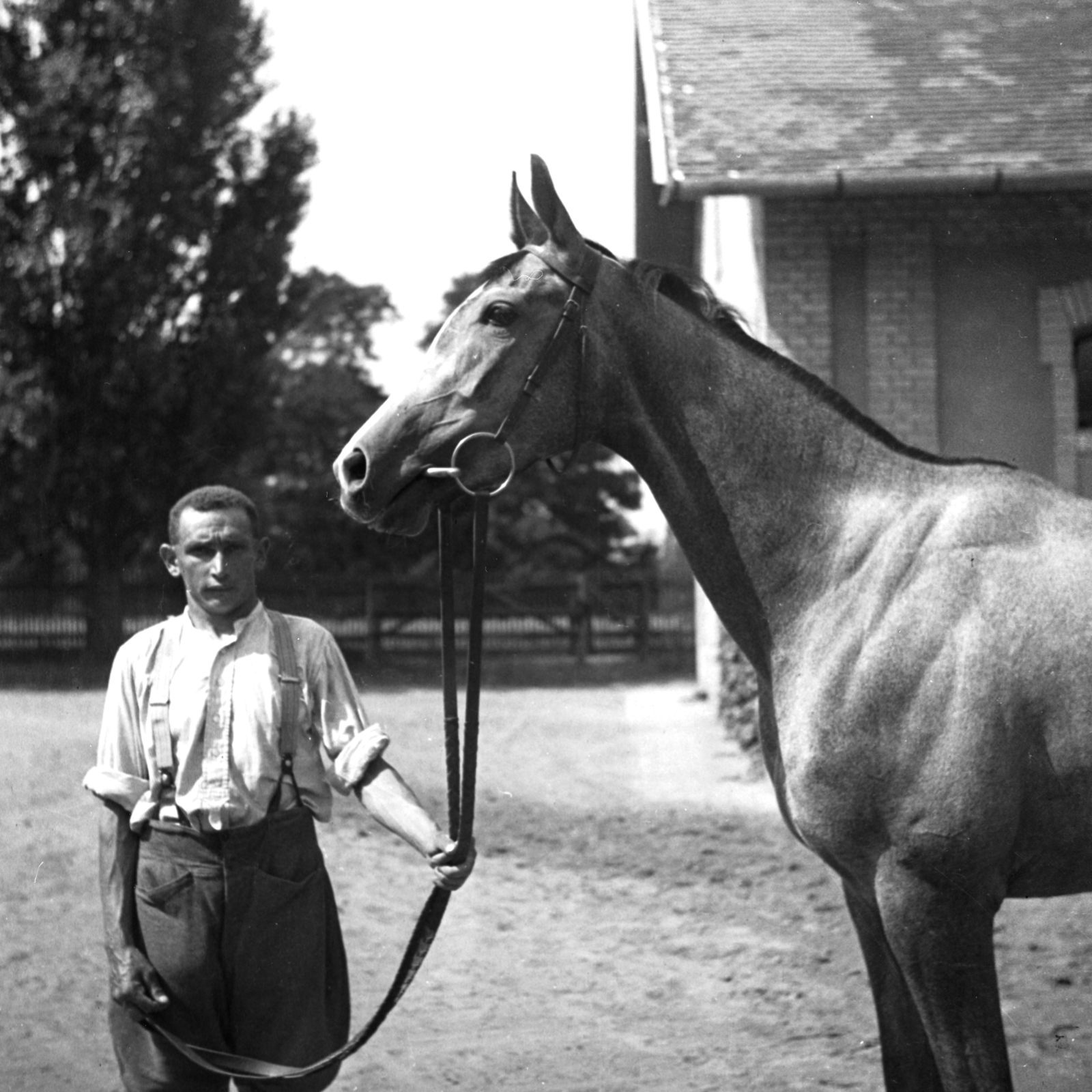 Hungary, Al-Duna,Dunakeszi, tréningtelep., 1938, Kölcsey Ferenc Dunakeszi Városi Könyvtár / Petanovits fényképek, horse, Fortepan #29617