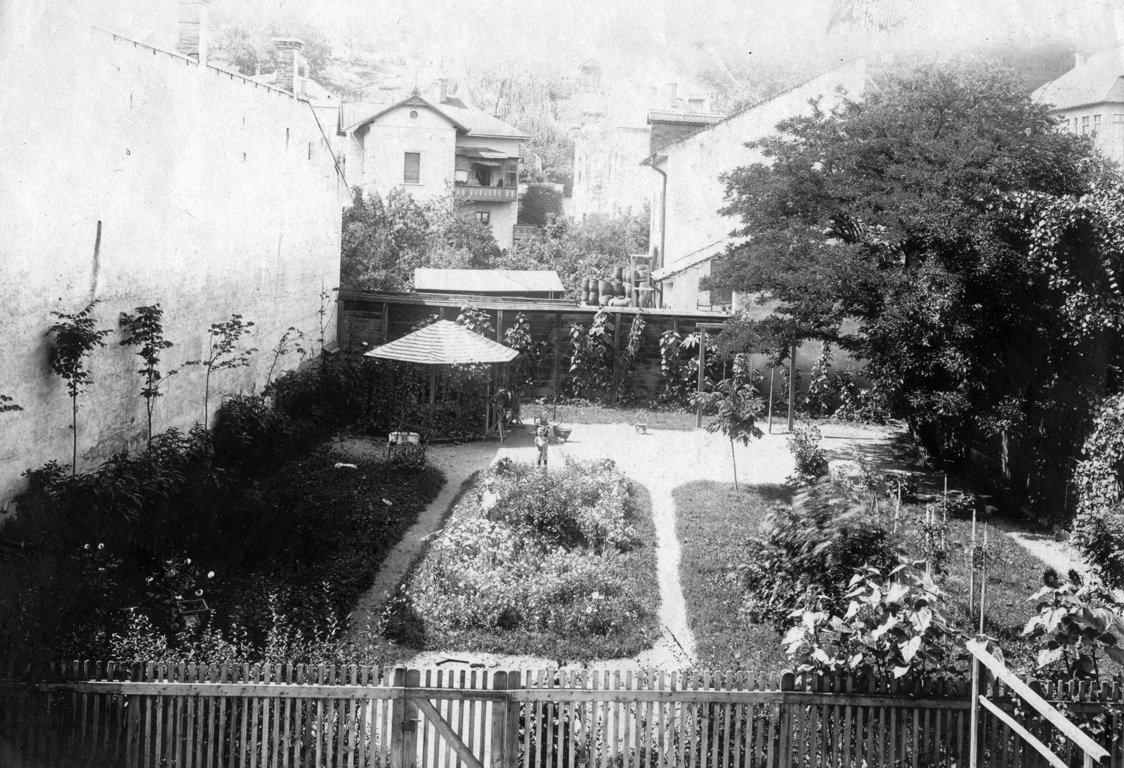 Románia,Erdély, Kolozsvár, Ferenc József út (Strada Horea) 9. számú ház udvara., 1907, Cholnoky Tamás, növény, udvar, Fortepan #29734