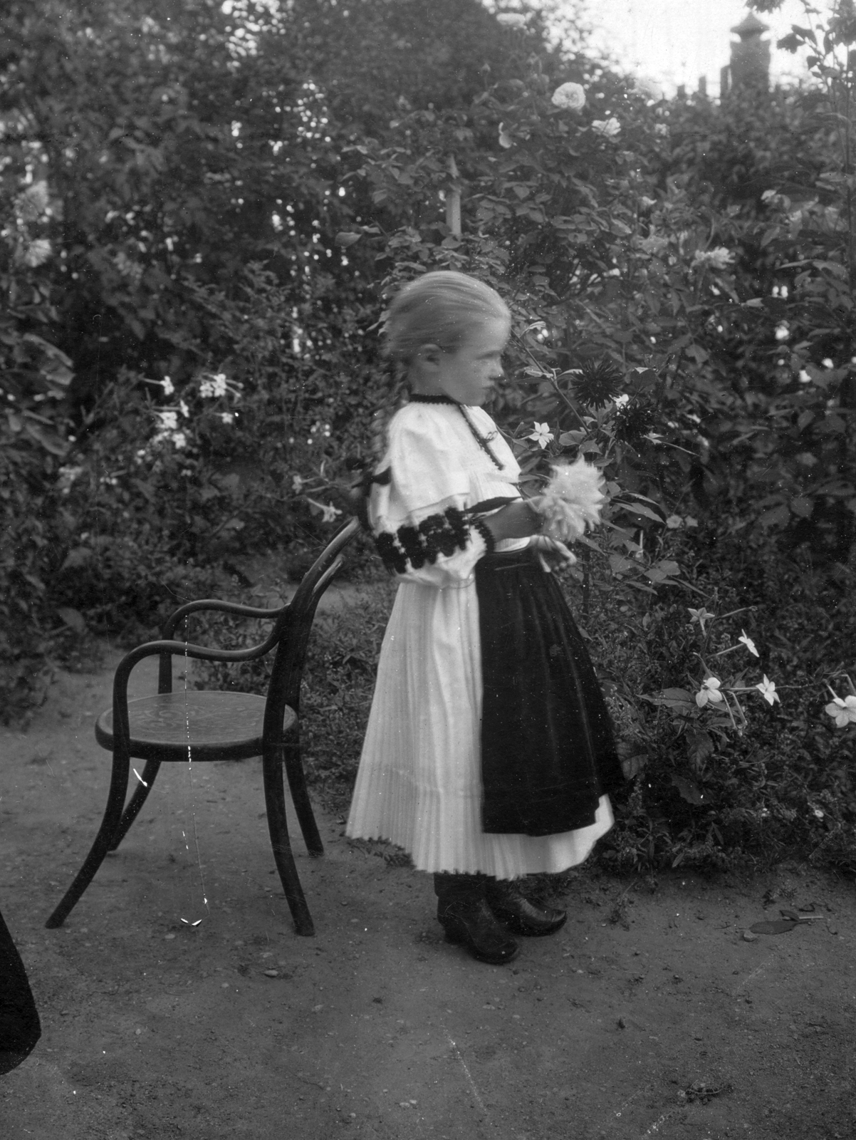 1908, Cholnoky Tamás, garden, tonett, girl, chair, kid's attire, Fortepan #29740