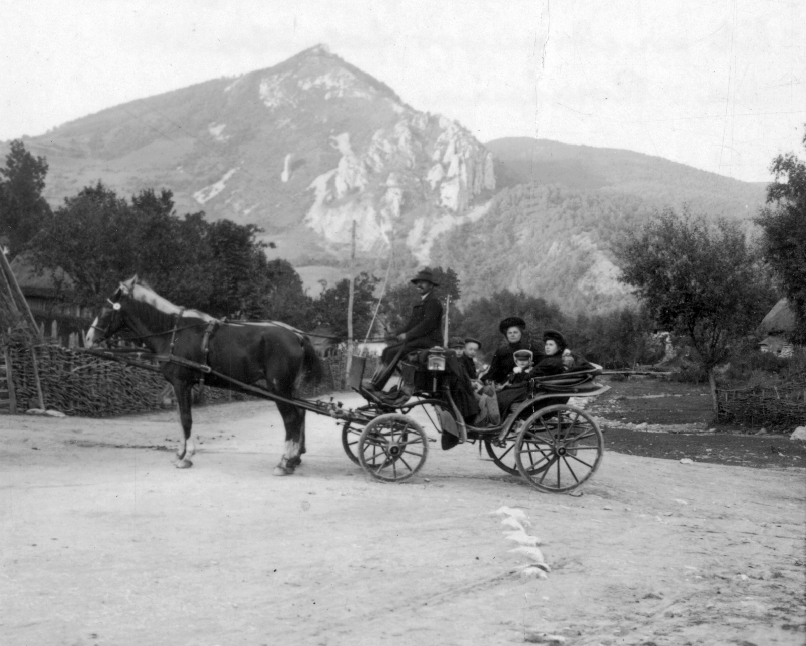 Románia,Erdély, Borrév, 1909, Cholnoky Tamás, ló, hintó, csoportkép, fogat, hegy, csoportosulás, kocsis, Fortepan #29749