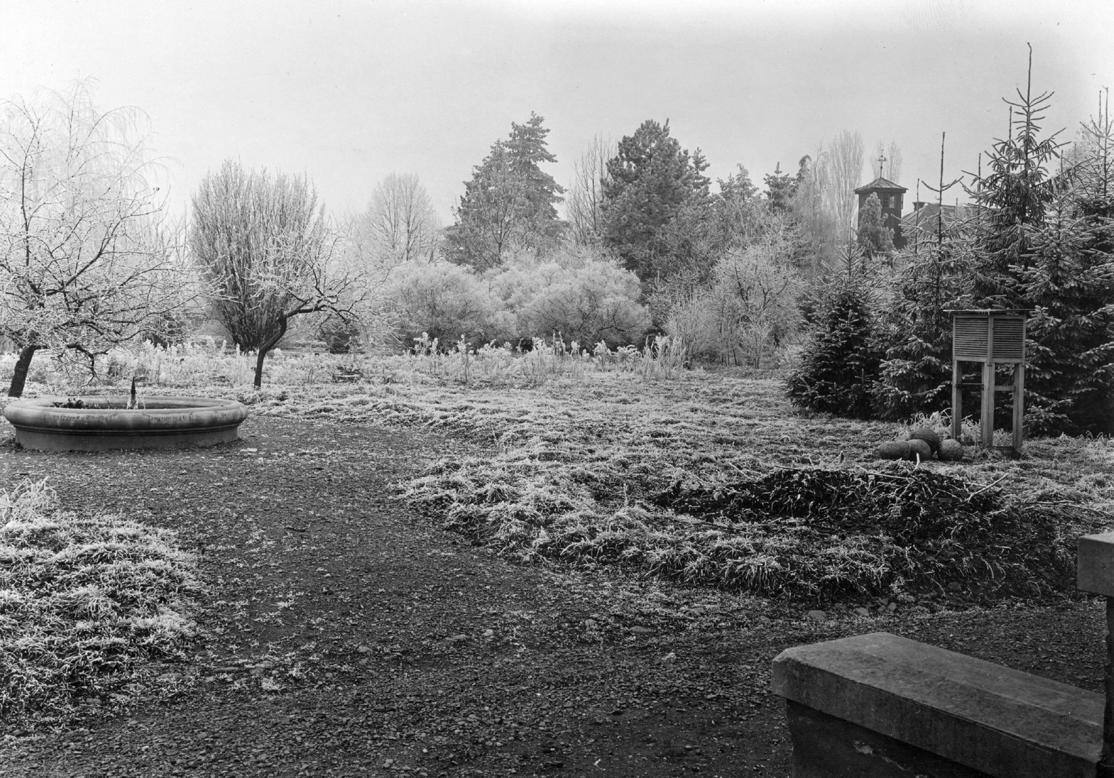 Romania,Transylvania, Cluj-Napoca, Rákóczi út 1., kert., 1916, Cholnoky Tamás, poppy, primrose, pasque flower, meteorology, weather station, frost, Fortepan #29795