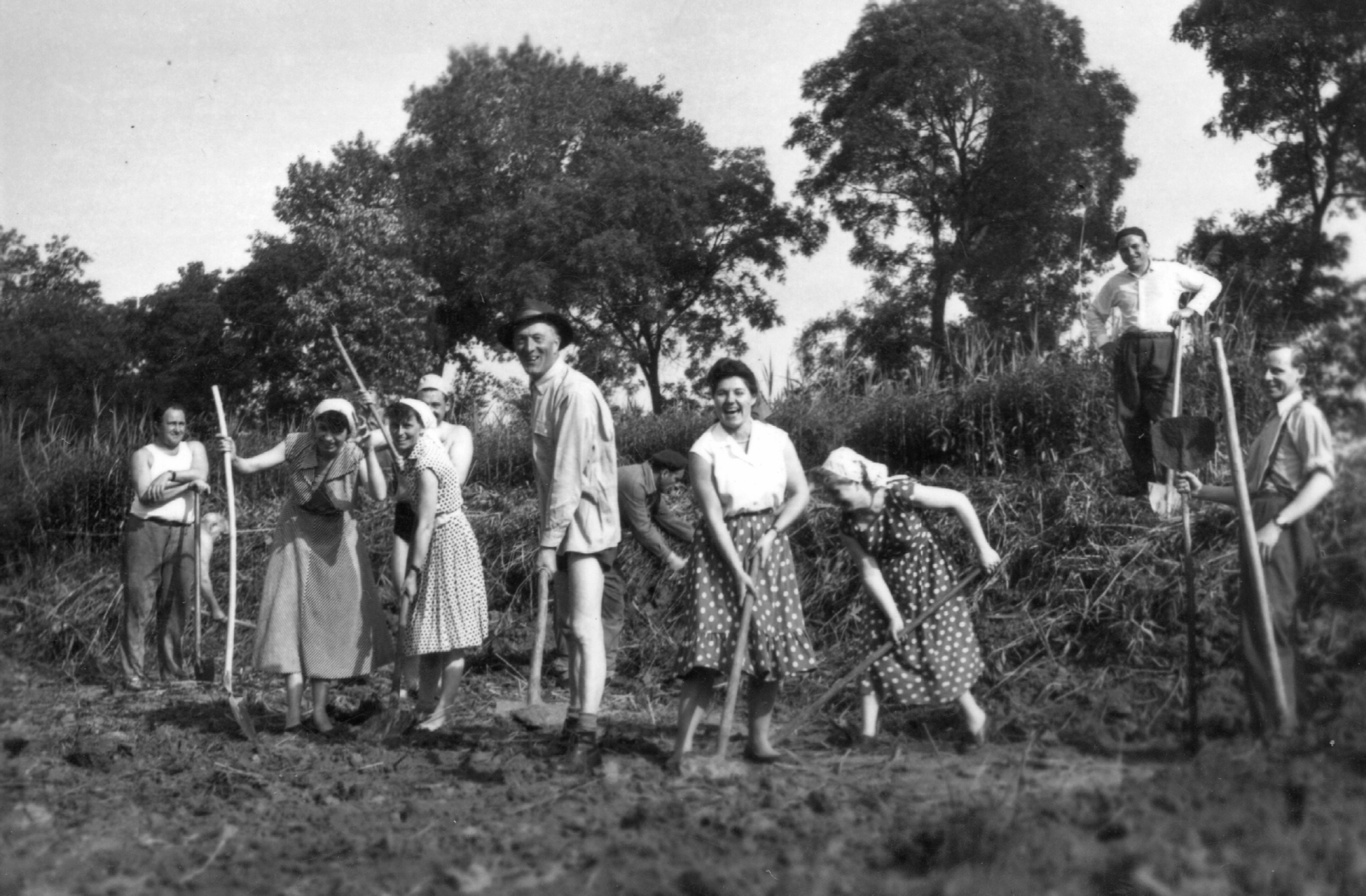 1952, Baráth Endre, agriculture, fun, work, Fortepan #29894