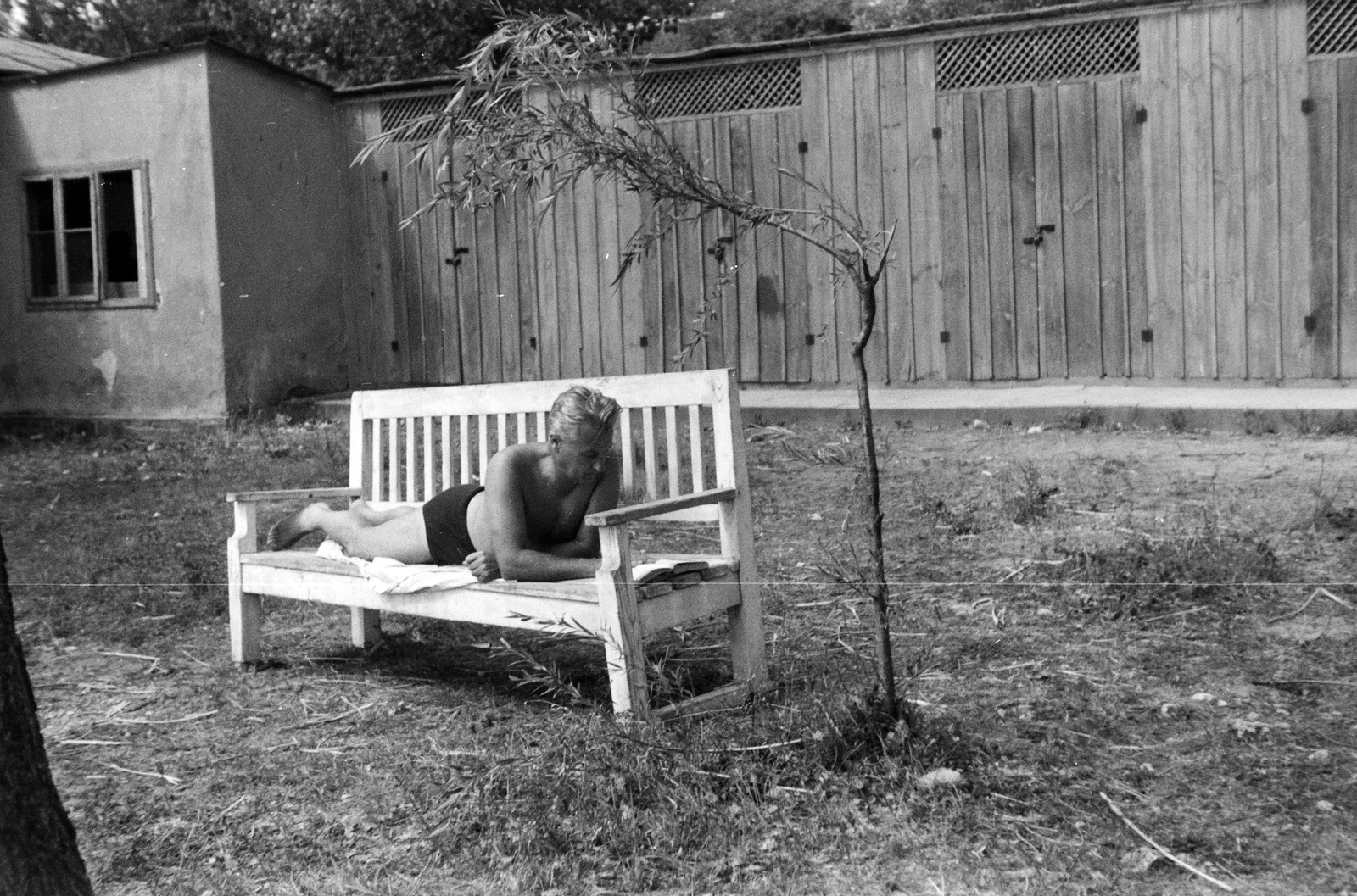 1959, Németh Tamás, bathing suit, garden, reading, man, bench, prop up on elbows, lying on a bench, Fortepan #29911