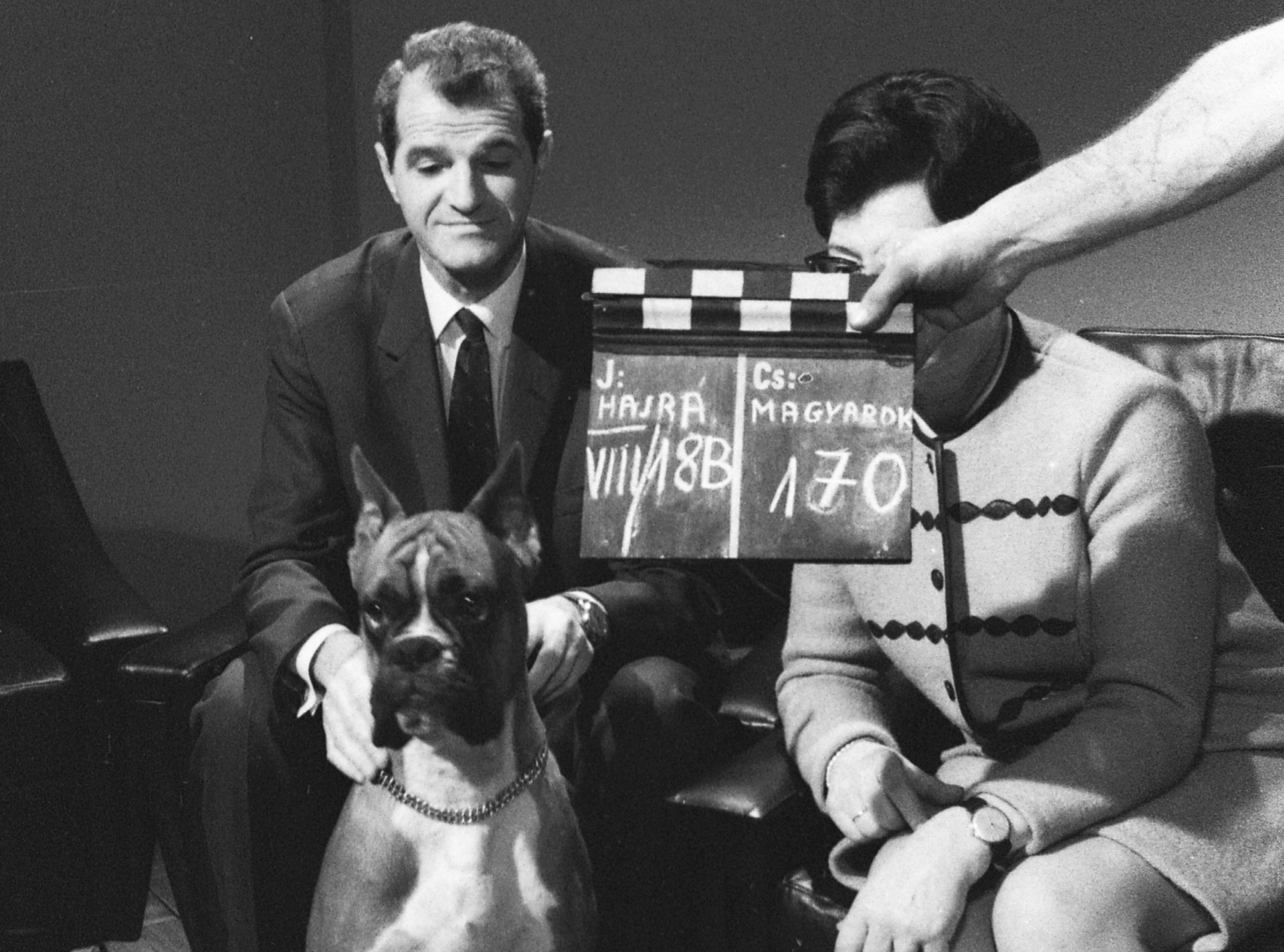 Hungary, Kárpáti Rudolf olimpiai bajnok kardvívó., 1970, Csőke József, filming, celebrity, dog, clapperboard, olympic champion, Fortepan #29993