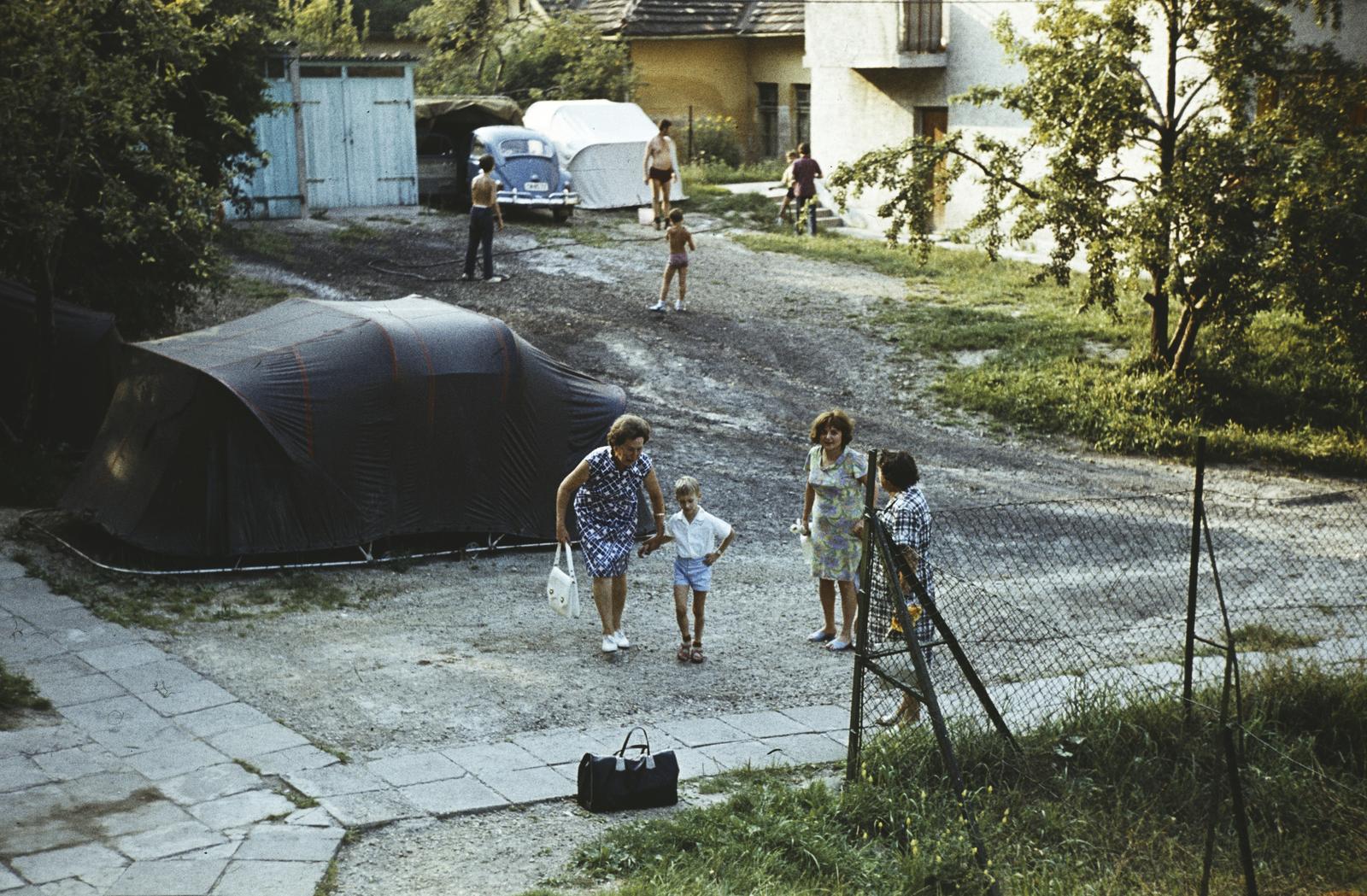 1975, Bara Péter, Fortepan #300006