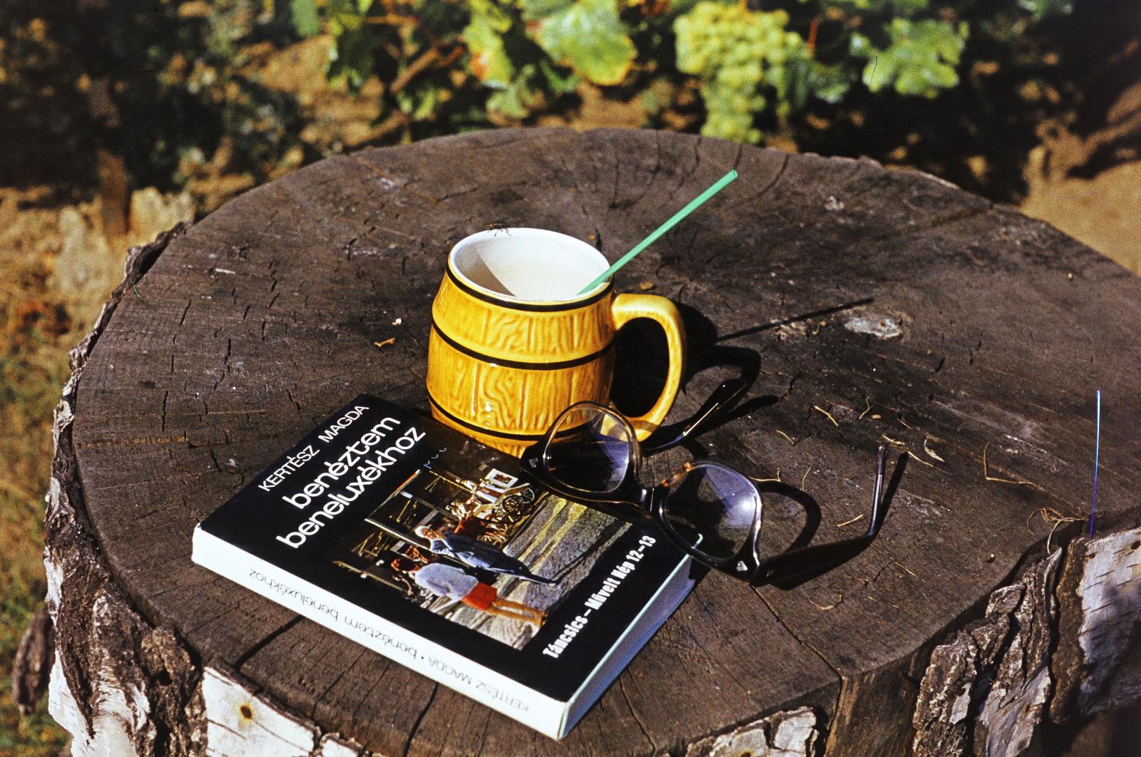 1973, Gépész, Best of, színes, könyv, szívószál, bögre, fatönk, csendélet, szemüveg, Fortepan #300060