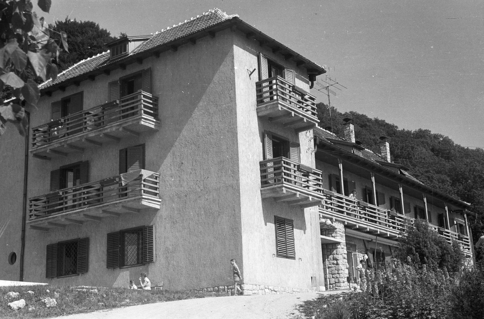 1959, Illés Zoltán, Fortepan #300141