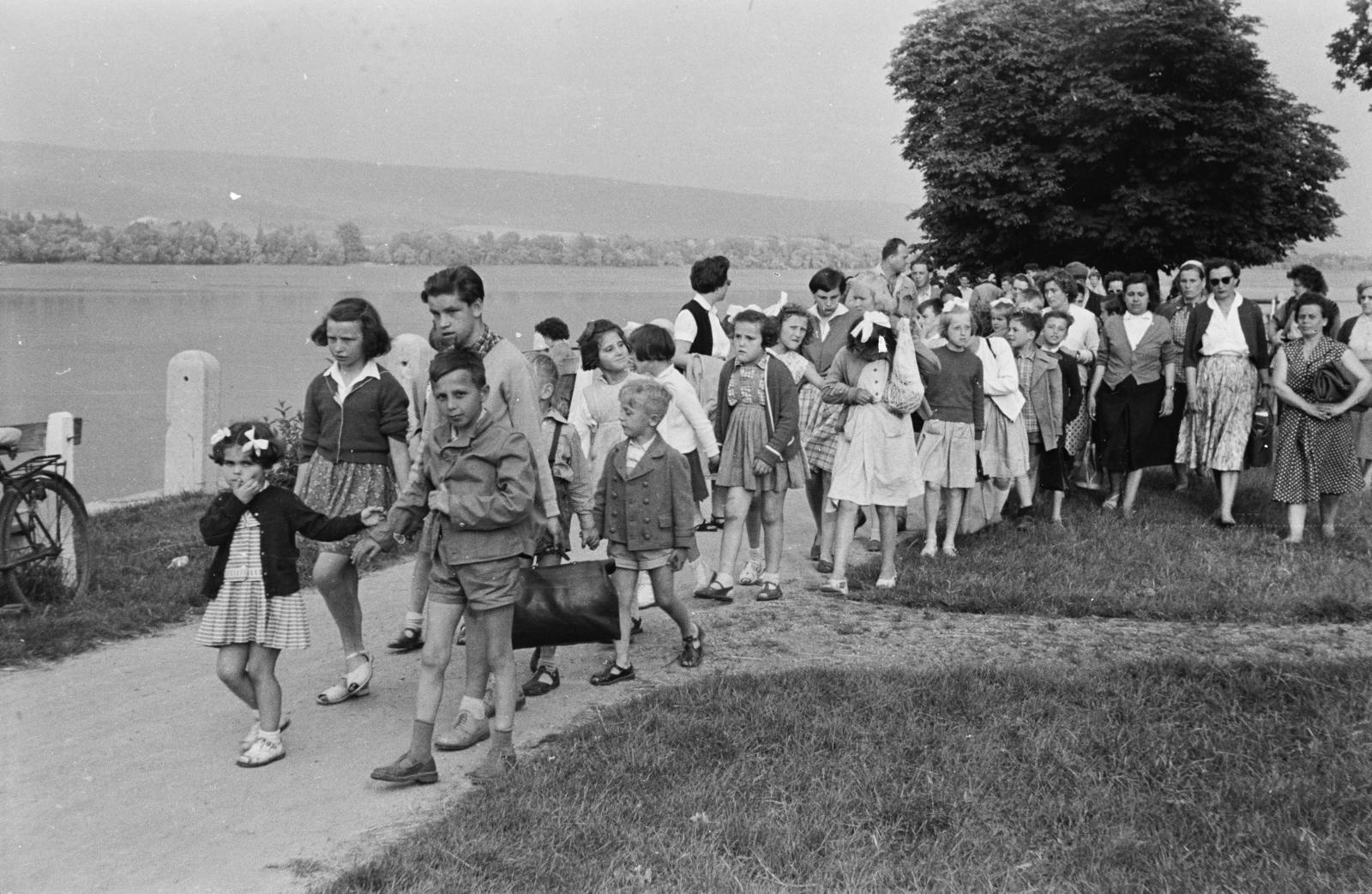 Hungary, Tata, az Öreg-tó az Esterházy-kastély közelében., 1960, Illés Zoltán, Fortepan #300144