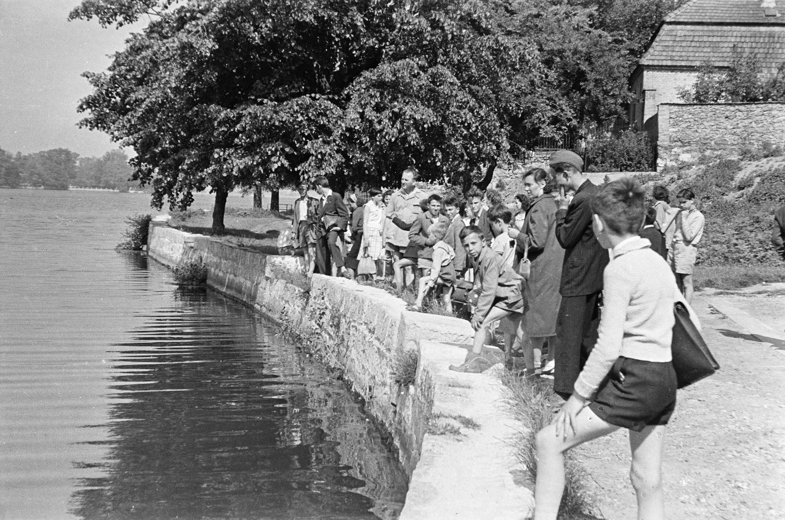 Magyarország, Tata, Öreg-tó, Tópart utca. Háttérben a Vágó utca 23. számú ház hátsó homlokzata., 1960, Illés Zoltán, Fortepan #300146