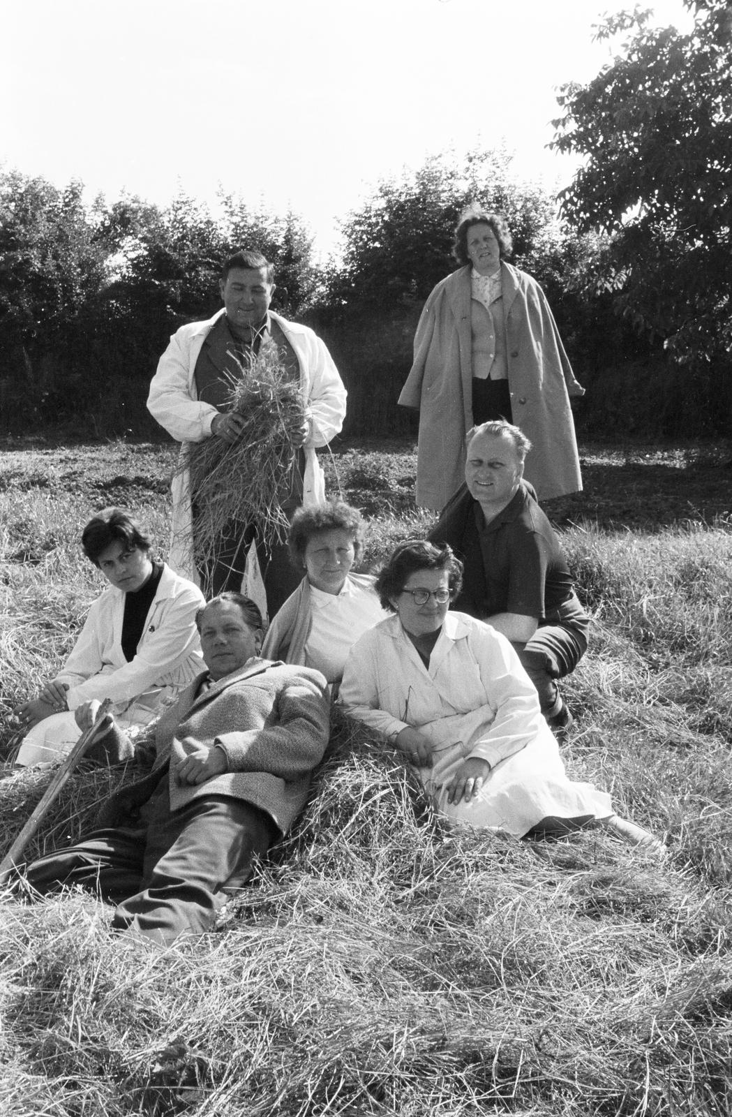 1960, Illés Zoltán, Fortepan #300147