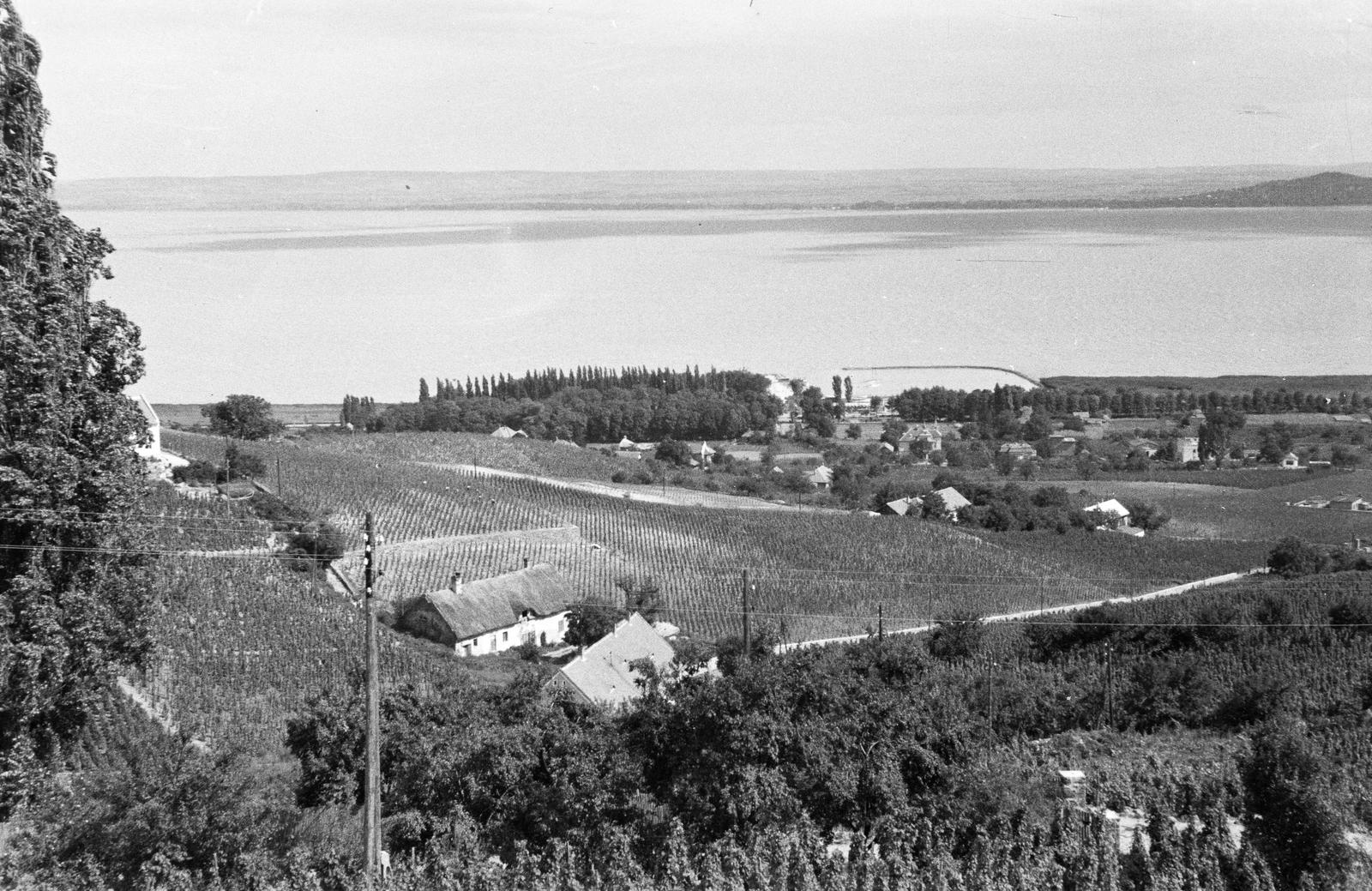 1960, Illés Zoltán, Fortepan #300150