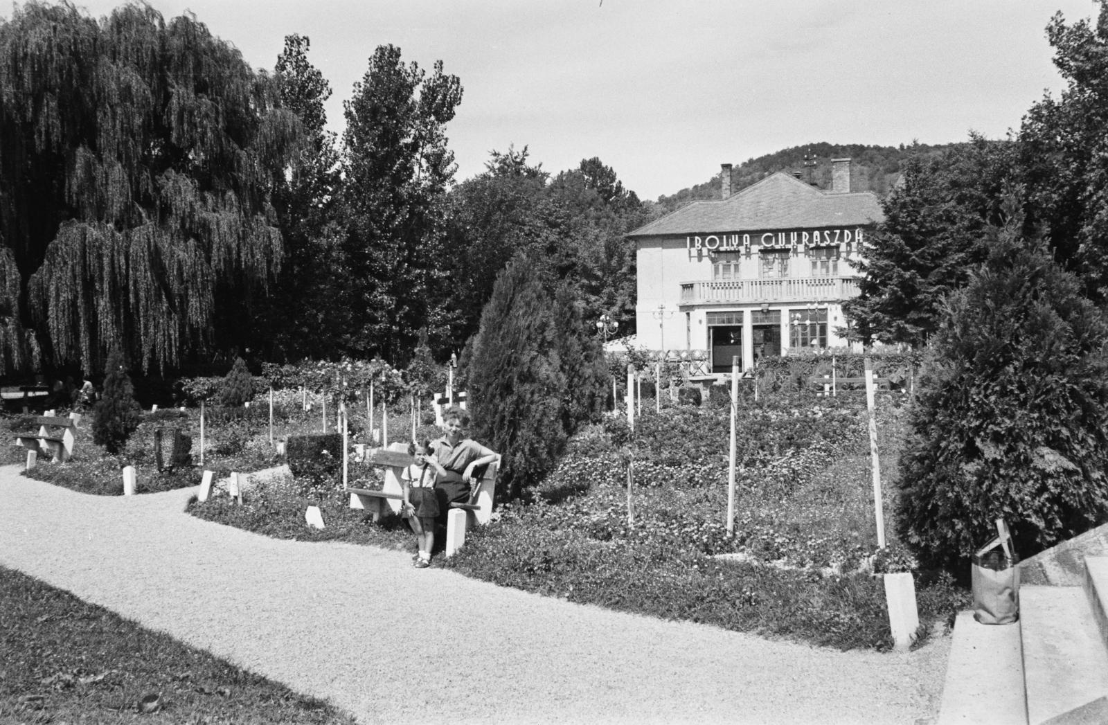 1960, Illés Zoltán, Fortepan #300155