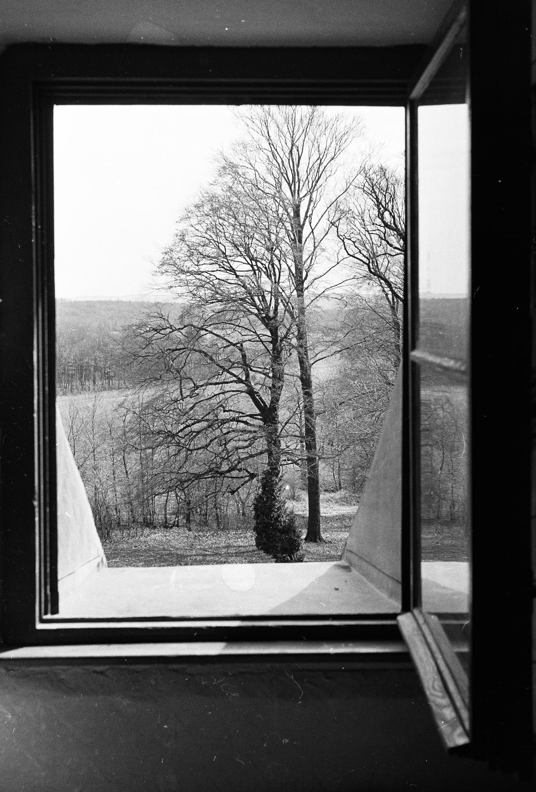 1971, Illés Zoltán, fa, ablak, Fortepan #300178