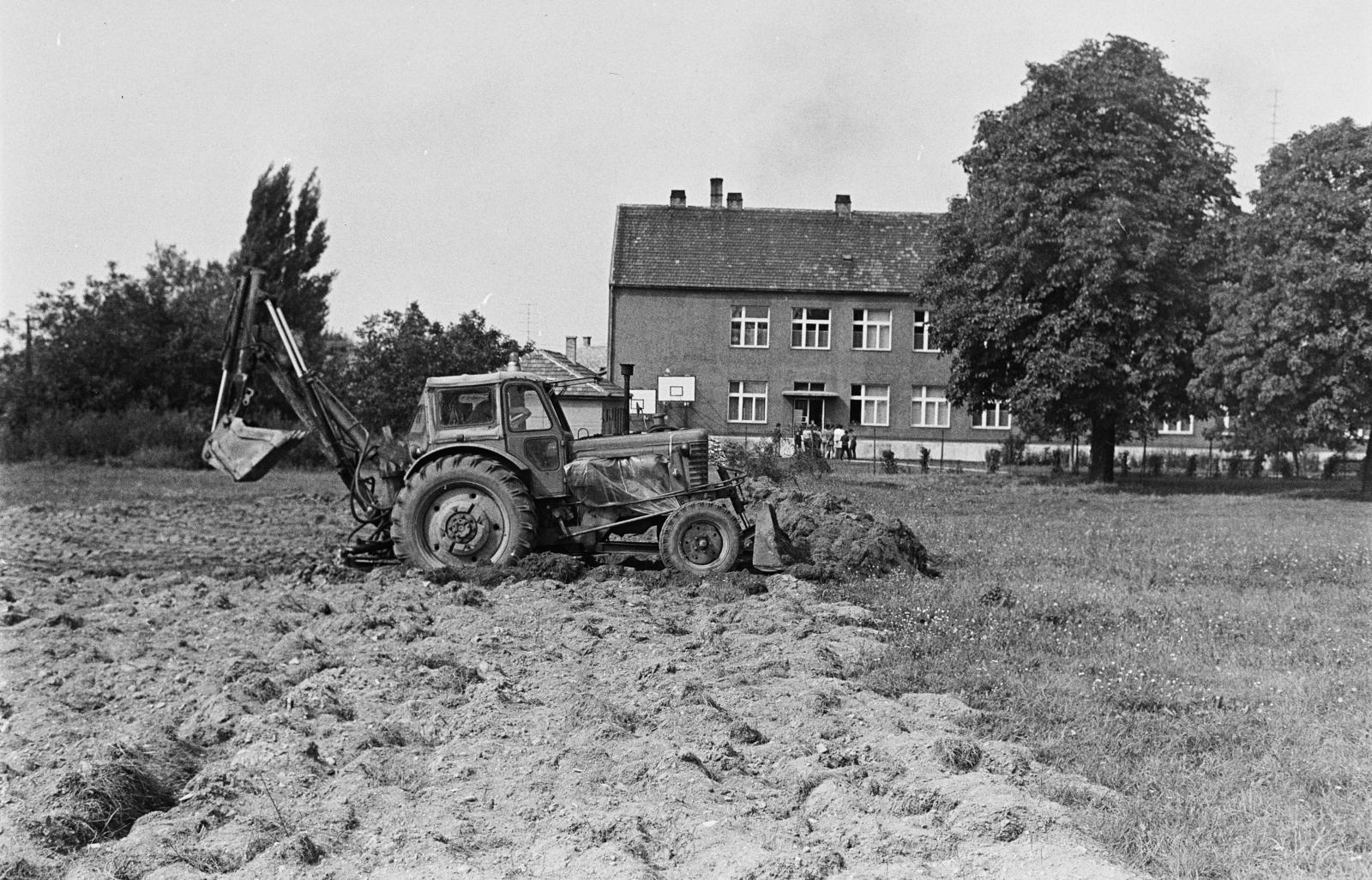 1975, Illés Zoltán, traktor, Fortepan #300200
