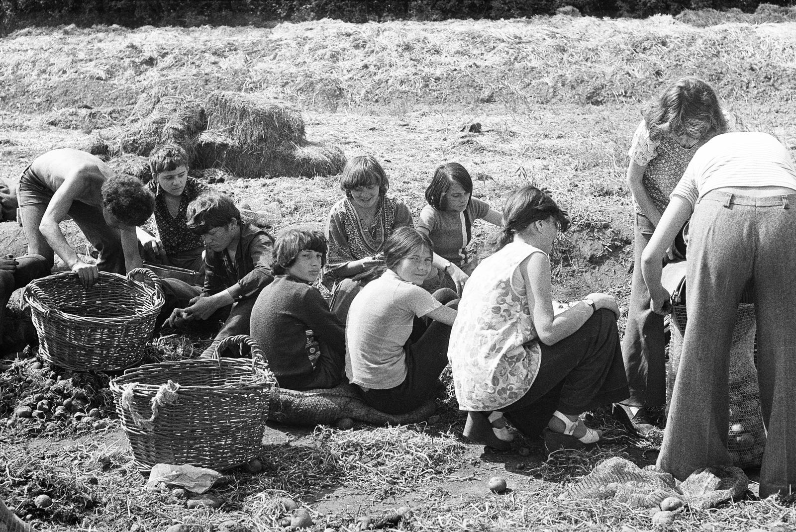 1981, Illés Zoltán, visszanézés, építőtábor, Fortepan #300221