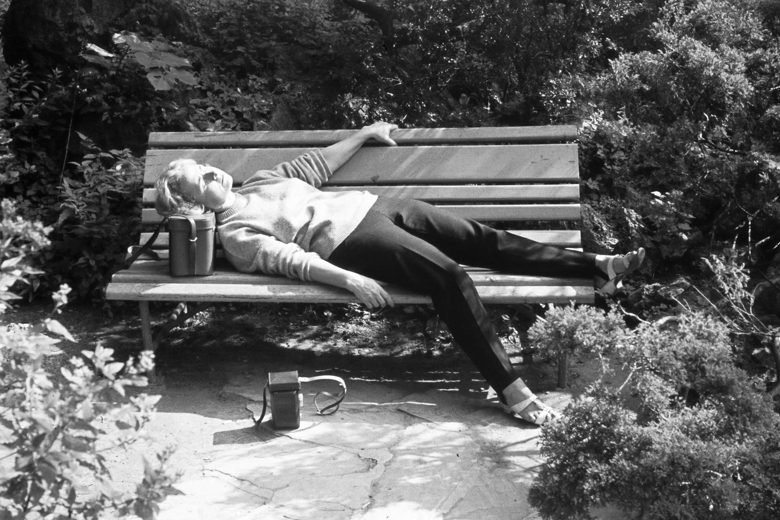 1963, Inkey Tibor, lying on the back, relaxation, bench, Fortepan #300314