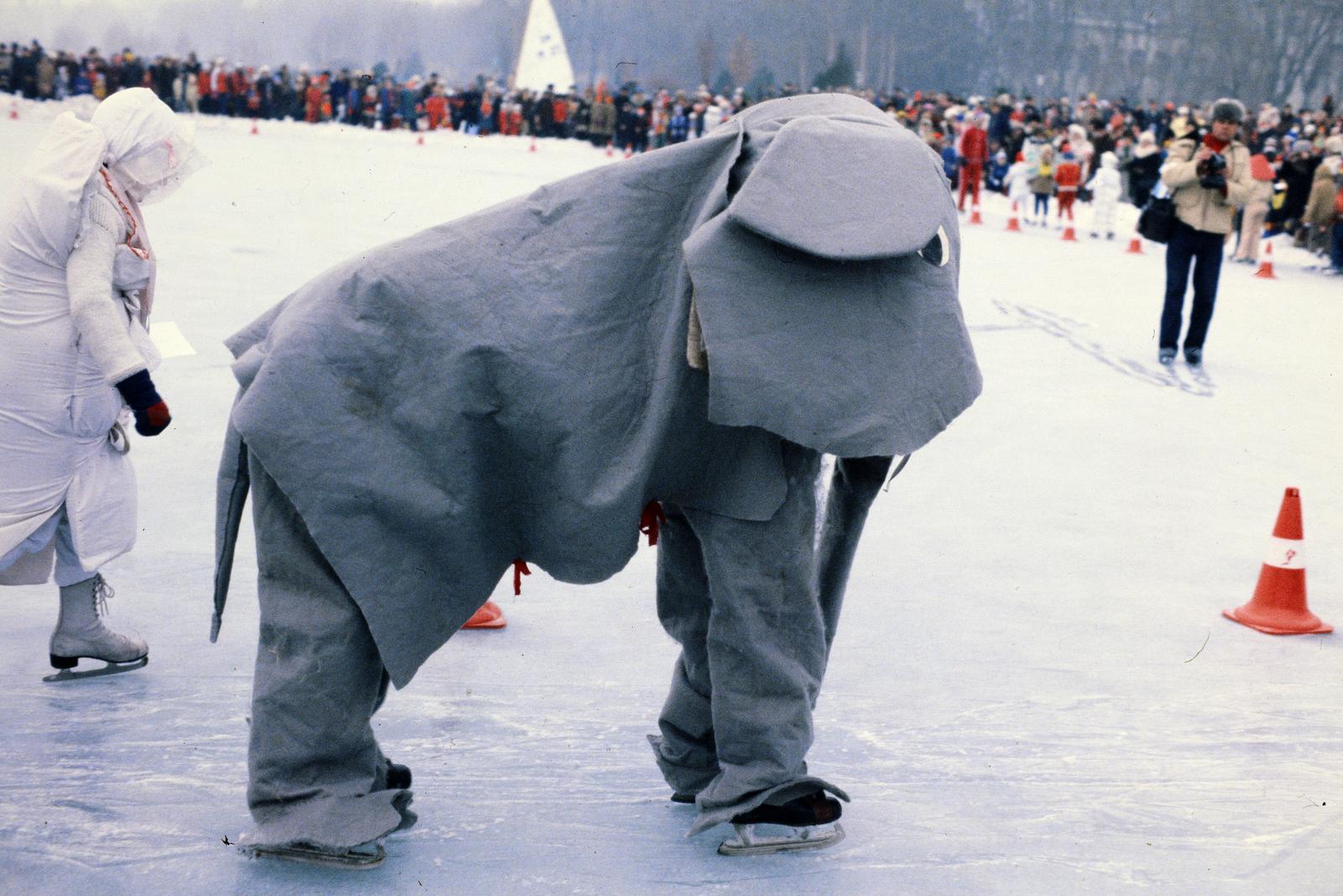 1983, Inkey Tibor, színes, elefánt, jelmez, korcsolyázás, Fortepan #300337