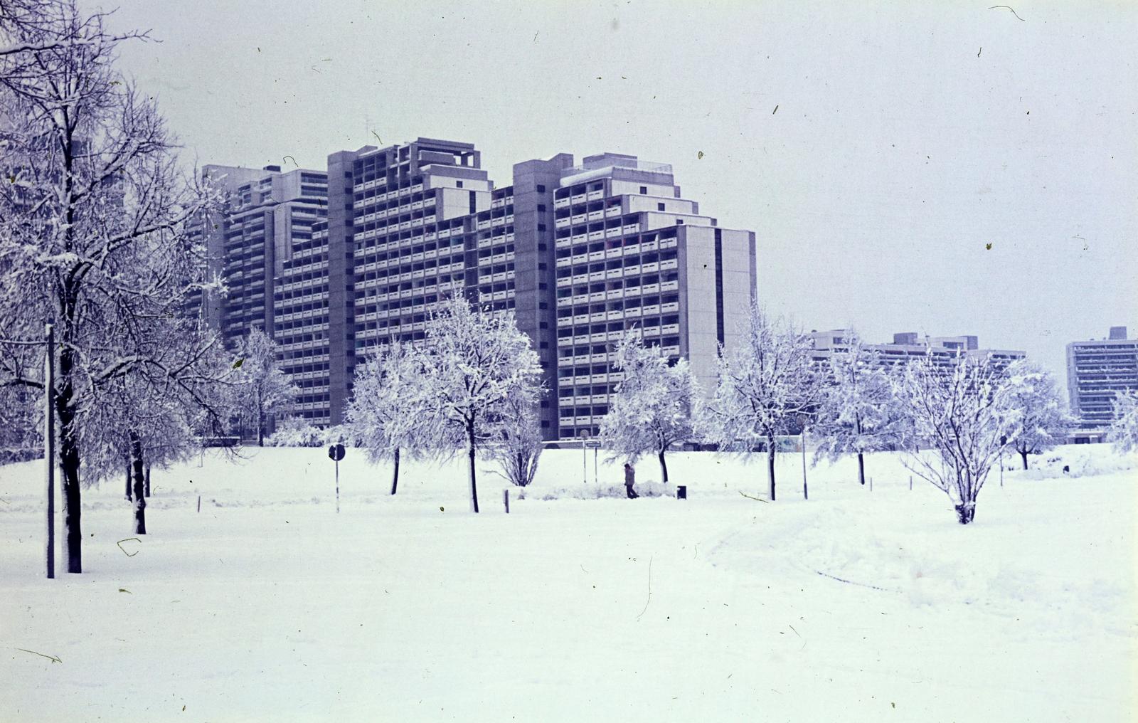 1975, Karácsony Iván, Fortepan #300388