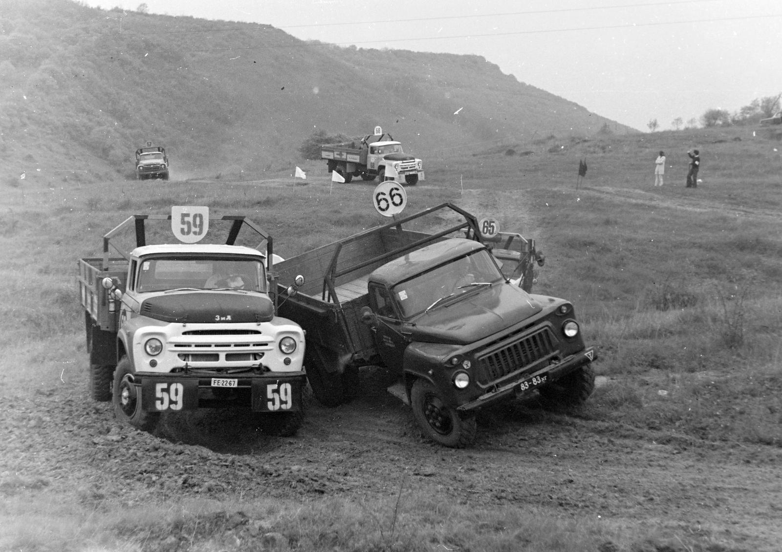 1980, Lanczner Ferdinánd, number plate, commercial vehicle, Fortepan #300417