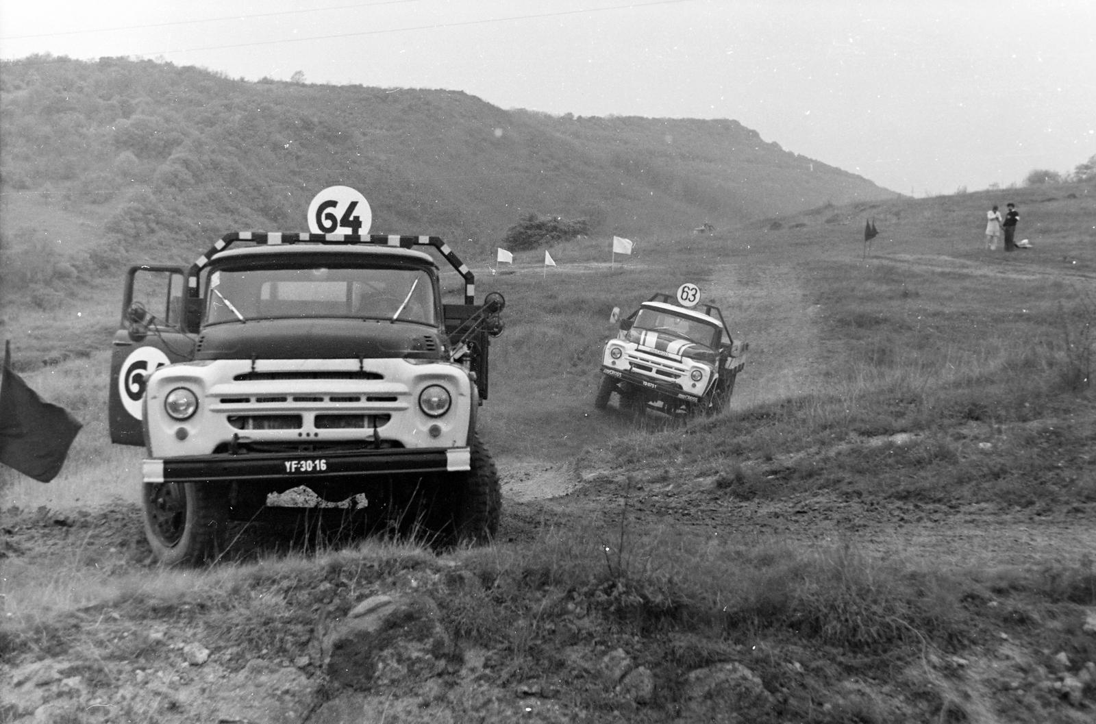 1980, Lanczner Ferdinánd, number plate, starting number, Fortepan #300418