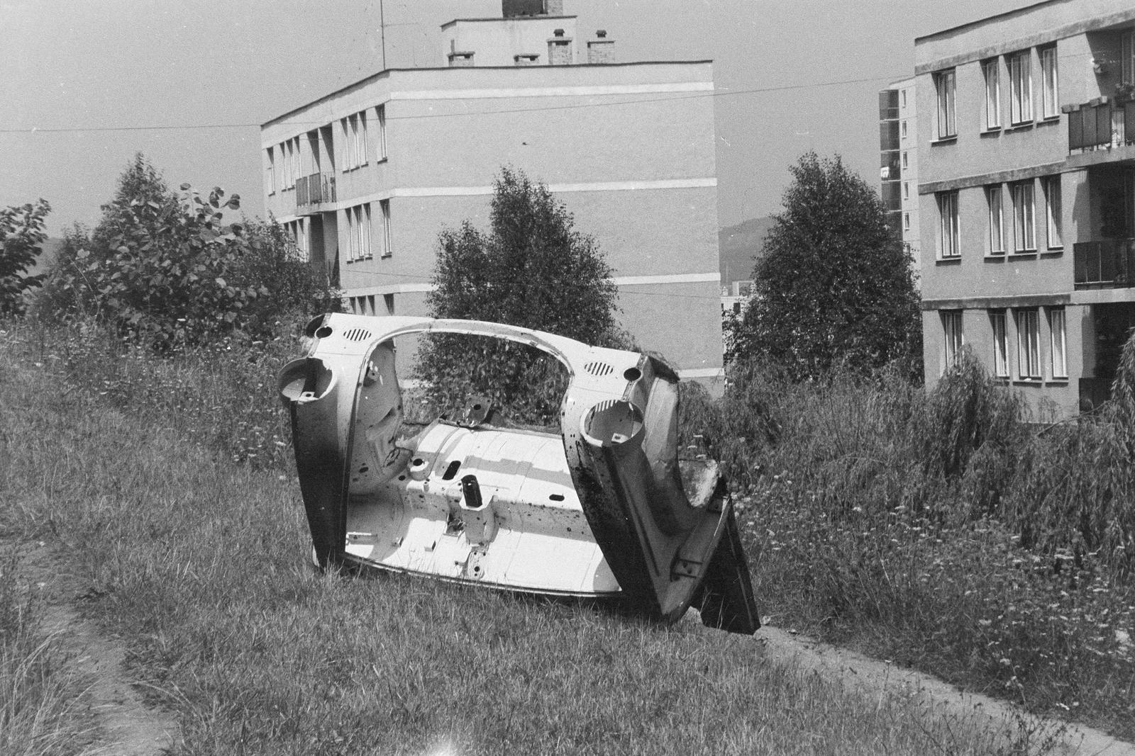 1971, Liktor Ferenc, Fortepan #300455