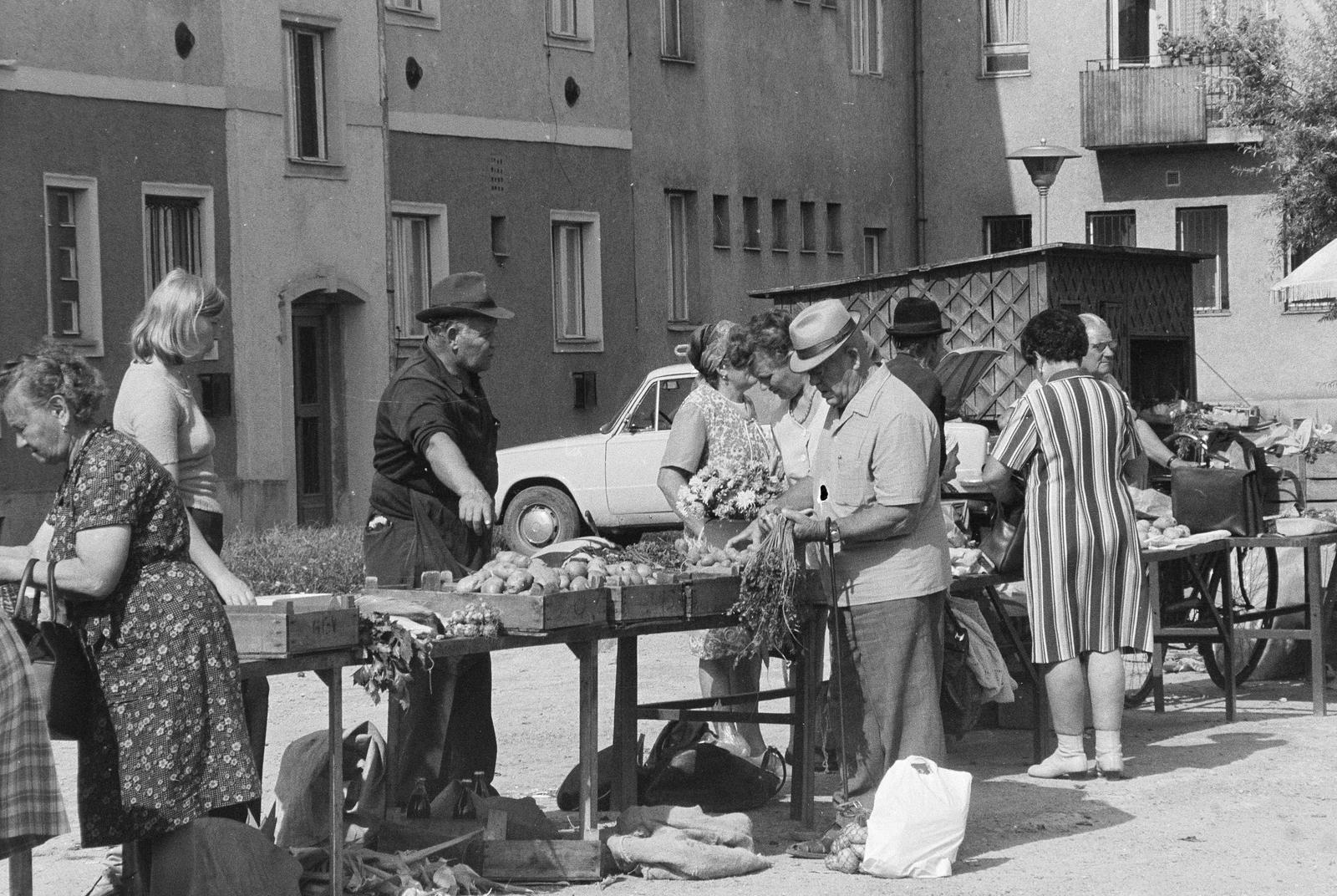 1975, Liktor Ferenc, zöldséges, Fortepan #300456