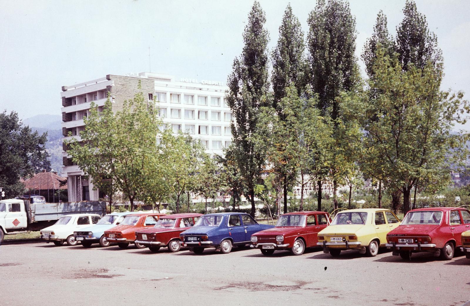 1975, Mnyerczán Tamás, Dacia 1300, színes, fa, automobil, Dacia 1100, Fiat 1300/1500, Fortepan #300477