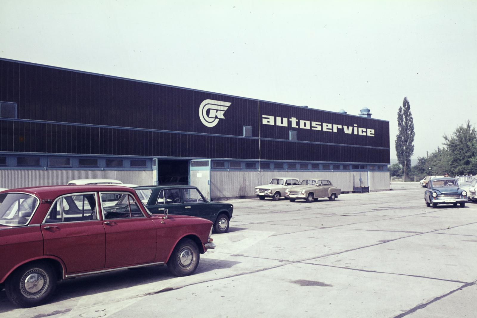 1974, Mnyenczán Tamás, Fortepan #300527