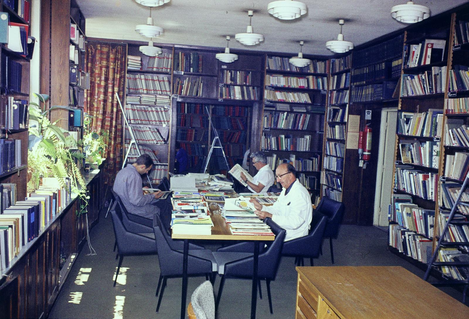 1975, Mnyenczán Tamás, könyvtár, olvasóterem, olvasás, Fortepan #300547