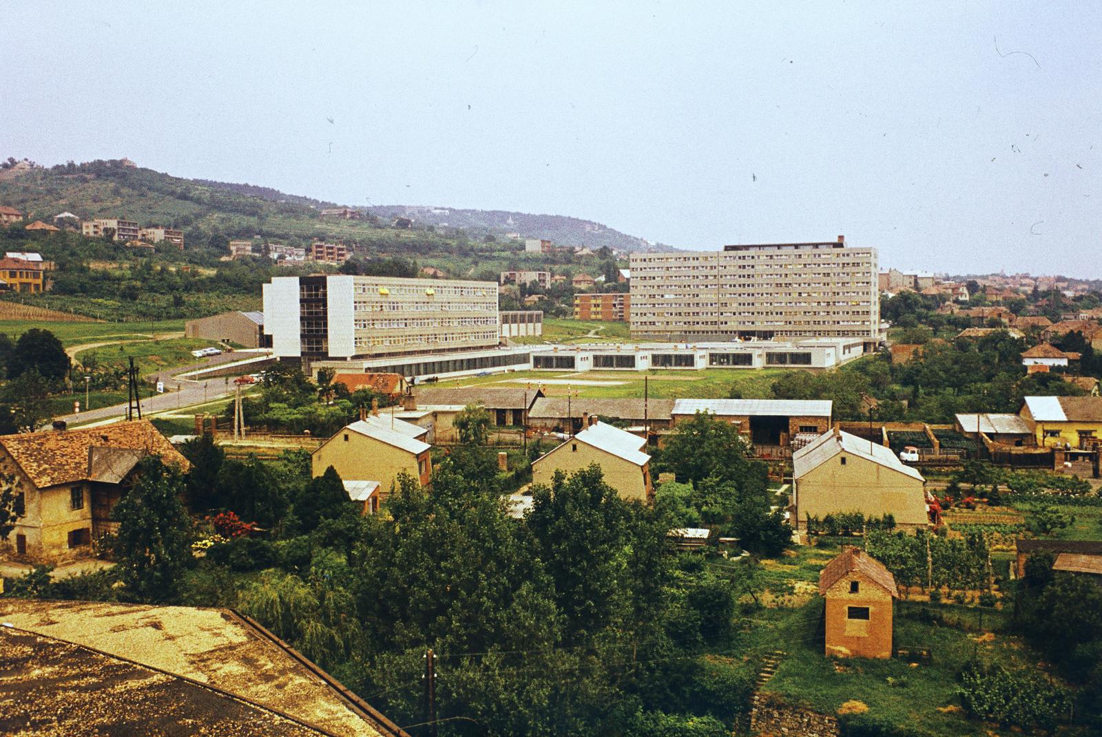 Magyarország, Pécs, kilátás a Pécsi Tudományegyetem Édesanyák útja melletti szülészeti Klinikájától a Boszorkány utca, a Pollack Mihály Műszaki Főiskola (később Pécsi Tudományegyetem) felé. A főiskola oktatási, labor valamint műhelyépületei mögött, szemben a kollégium., 1979, Mnyerczán Tamás, Fortepan #300550