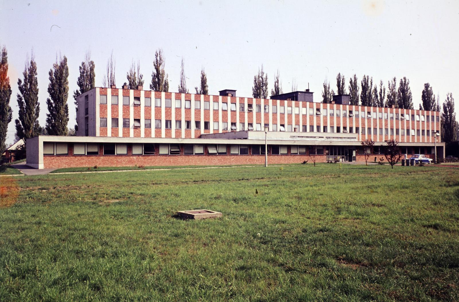 1971, Mnyenczán Tamás, Fortepan #300552