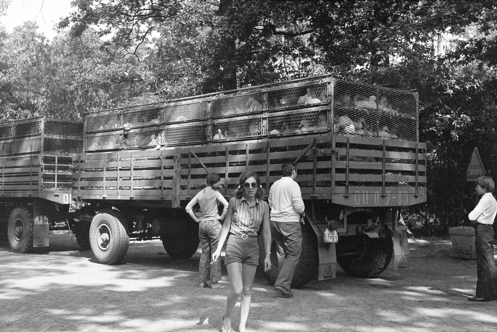 1973, Rékai Zsolt, Fortepan #300601