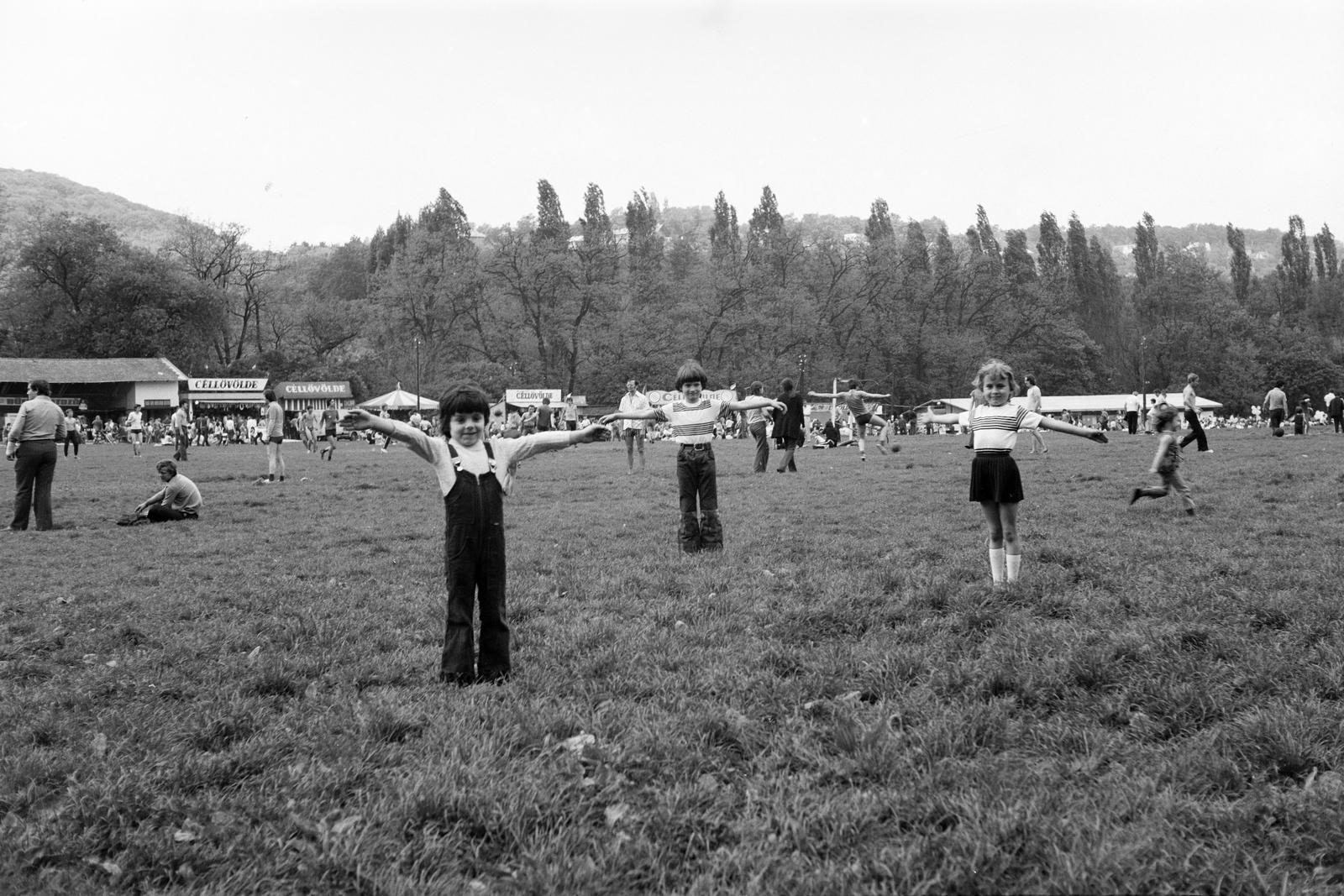Magyarország, Hűvösvölgy, Budapest II., Nagyrét., 1978, Rékai Zsolt, Budapest, Fortepan #300679