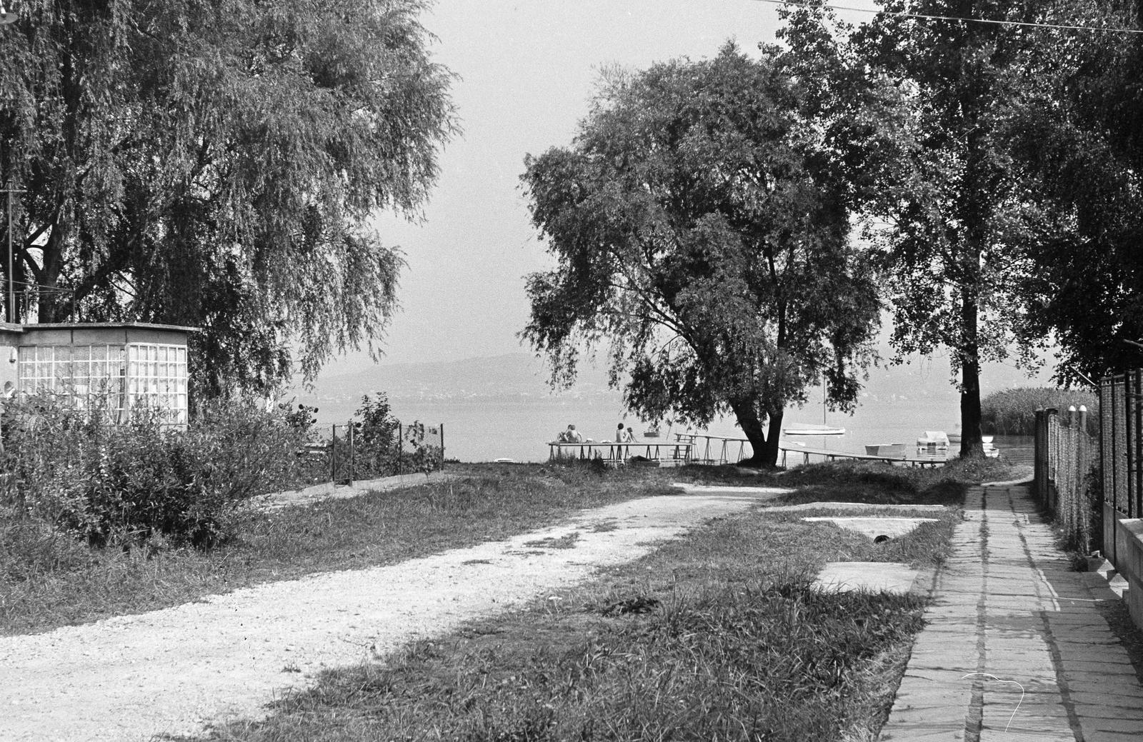 1973, Rékai Zsolt, Fortepan #300684